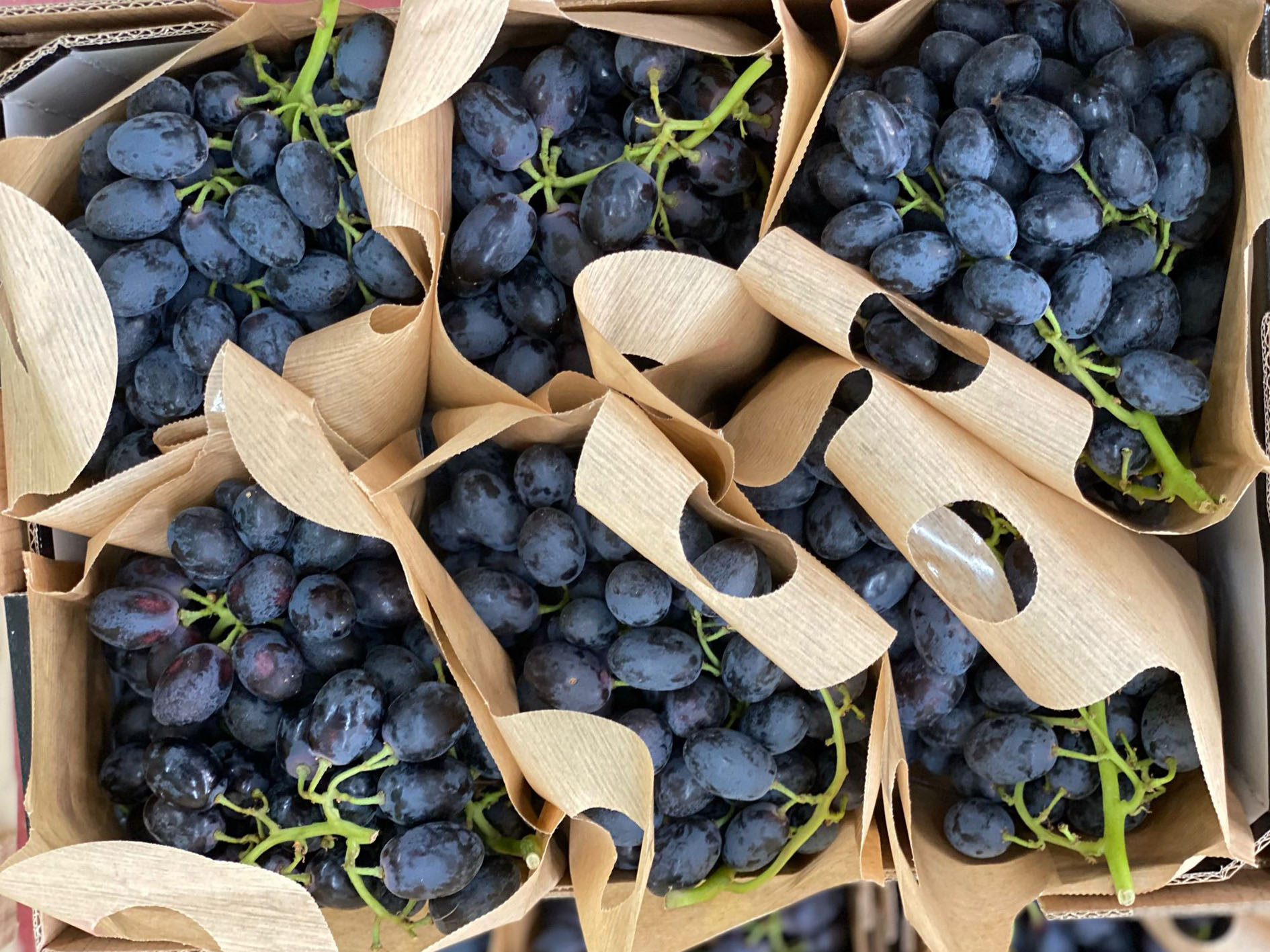 fmt nl381_0009_Raimsa11.jpg