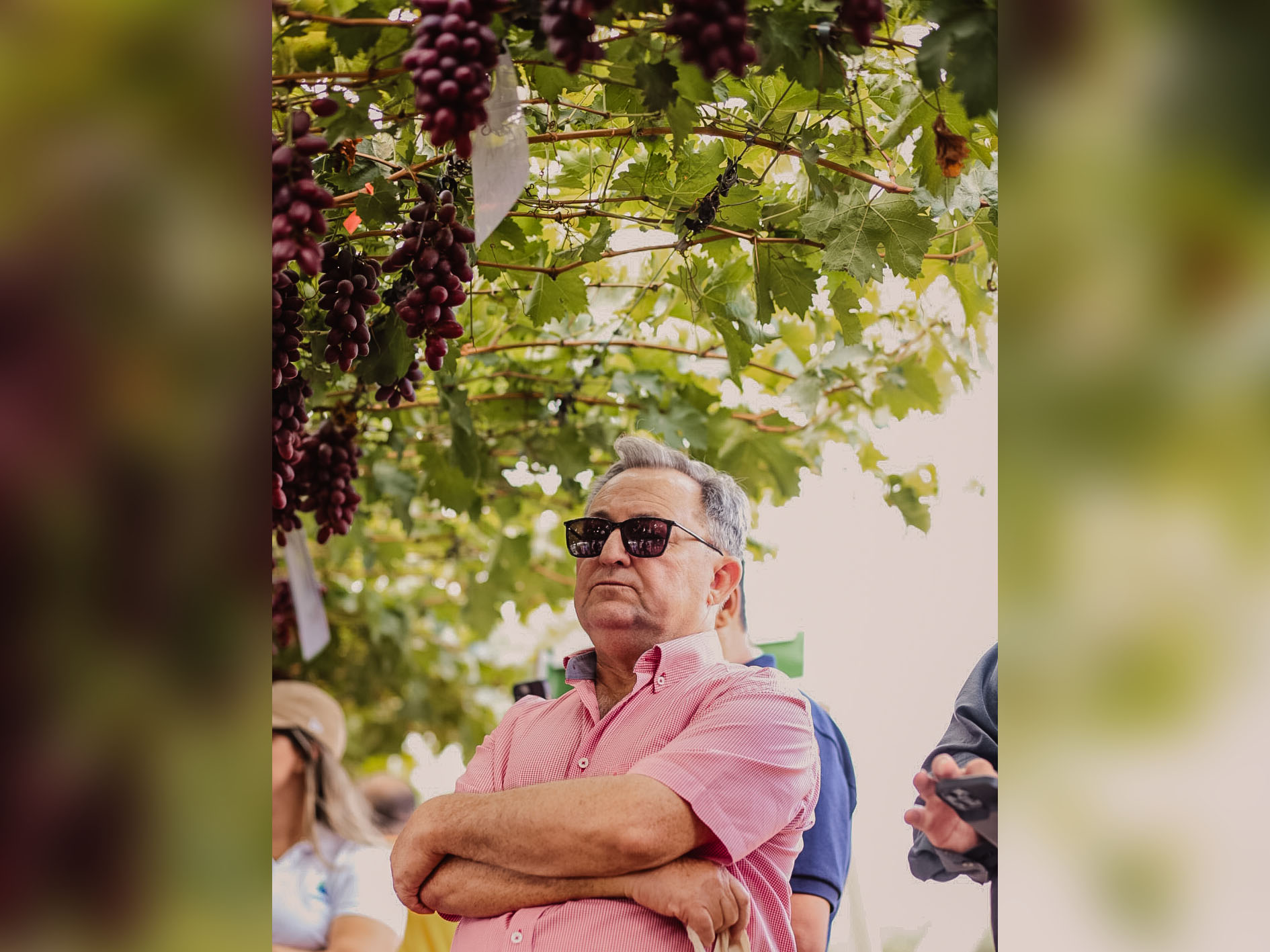 Alvaro Solano Coopexvale’s president