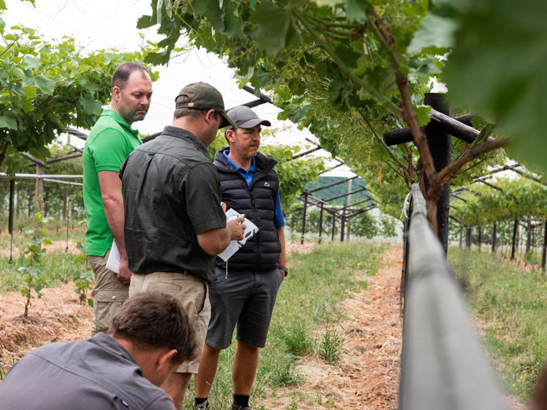 fmt_0004_WhatsApp Image 2023-11-03 at 11.27.58 (2).jpeg