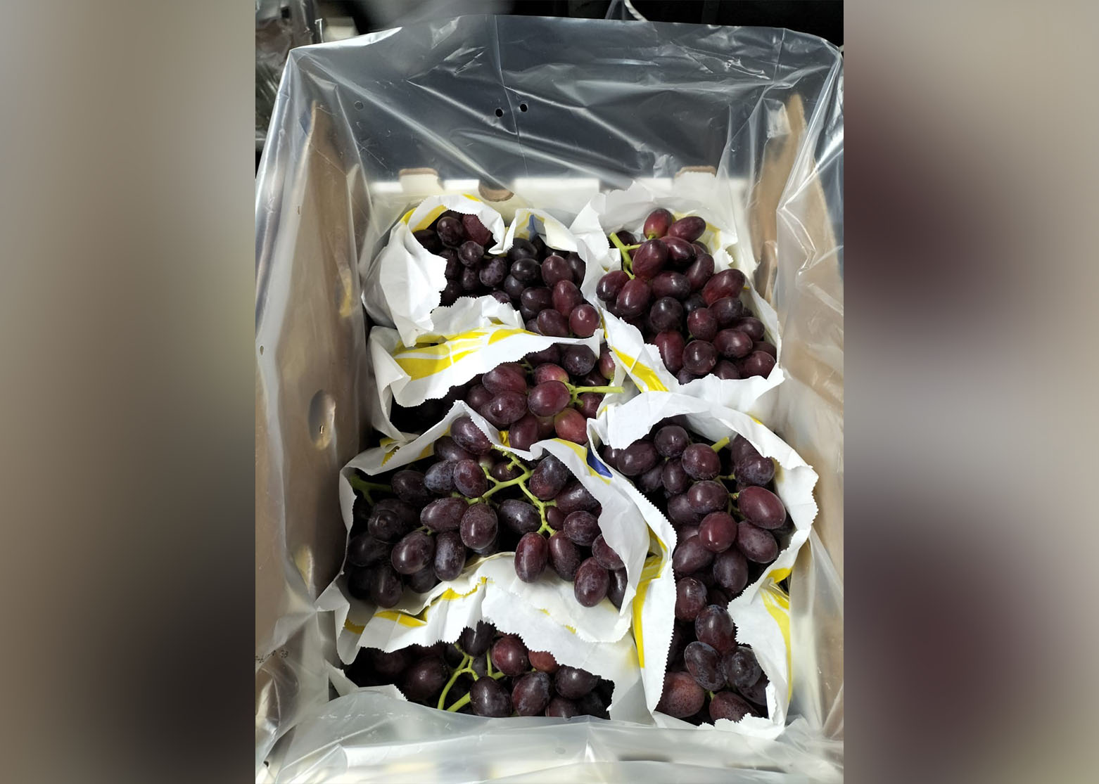 TopFruit Test Block ARRA Cherry Crush