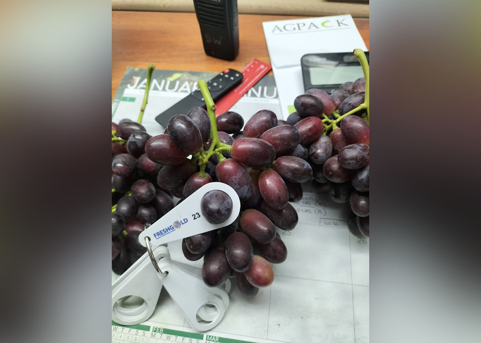 TopFruit Test Block ARRA Cherry Crush