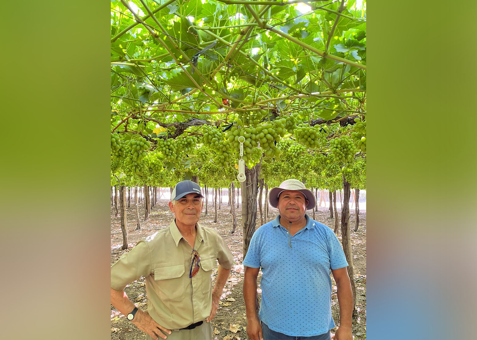 Carlos Rosende (left), Owner and José Antonio Tapia (right), Farm manager, Sociedad Agrícola Beylik, Aconcagua Valley, Valparaíso región.