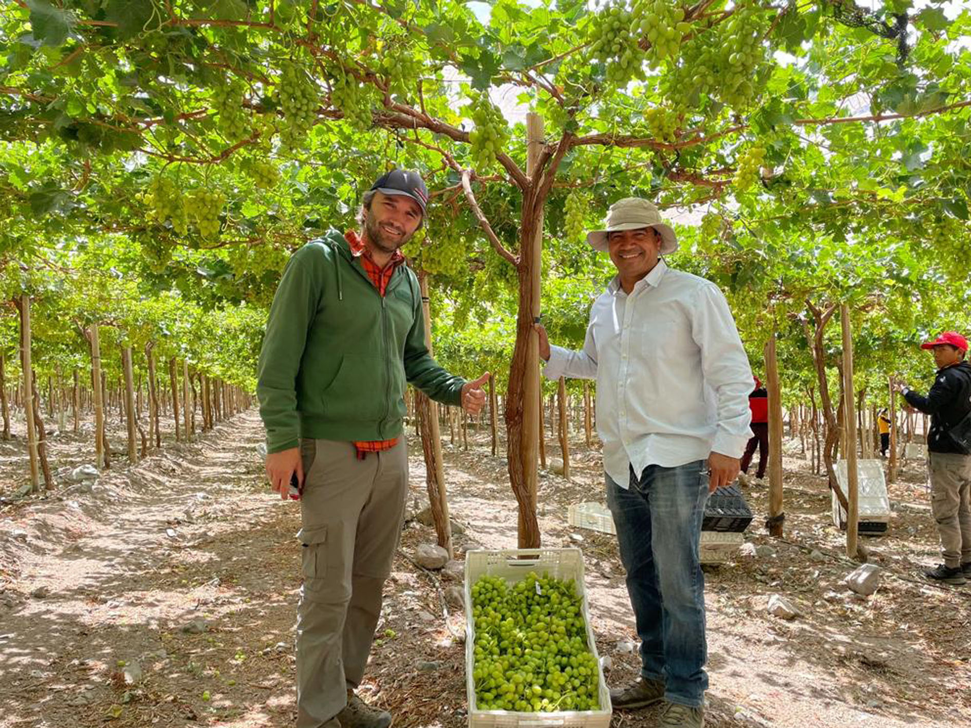 Antoine Vassaj, Commercial Manager (left), Kleber Pacheco, Administrator (right), Agricola El Calvario, Region IV