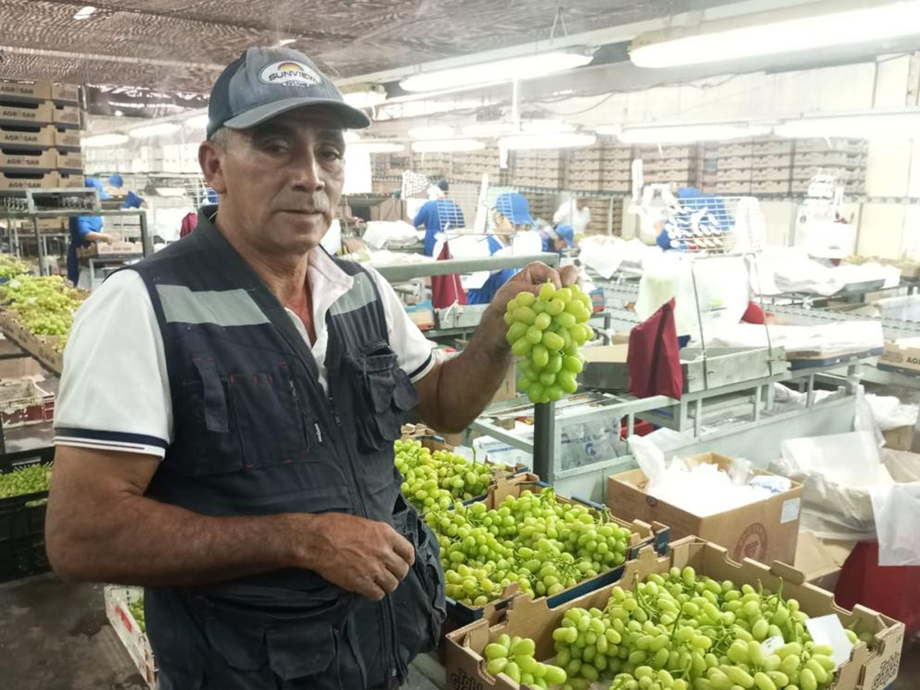 Juan Carlos Donoso, Head of Packhouse, Agrícola El Fuerte, Copiapo, Region III