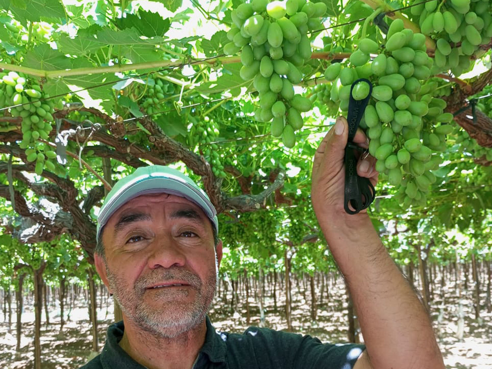 Jorge Jofre, Manager, Agricola Copayapu, Copiapo, Region III