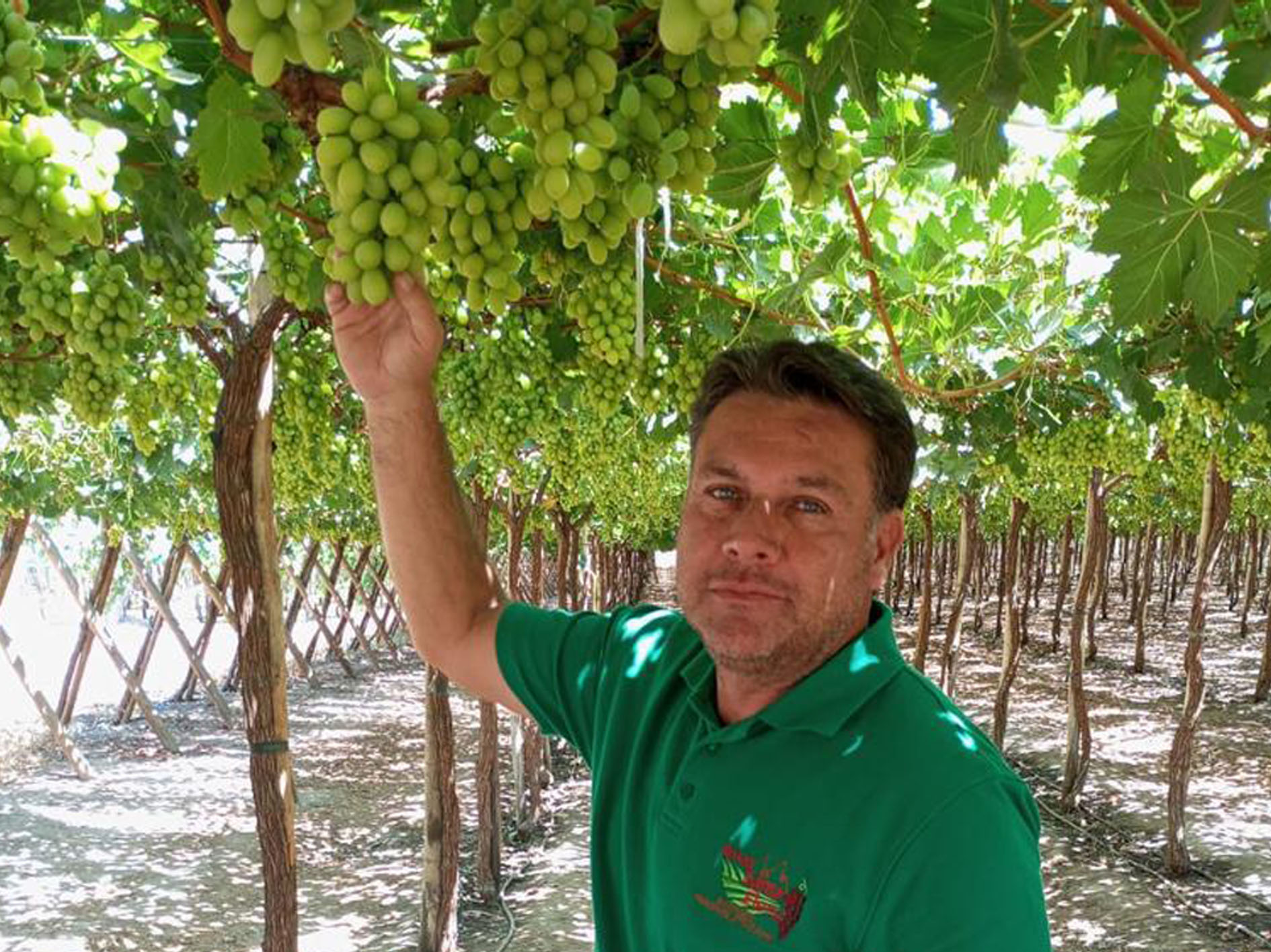 Carlos Bordoli Tiska, Agrícola Santa Elena, Nantoco, Comuna de Tierra Amarilla, Copiapó, Region III