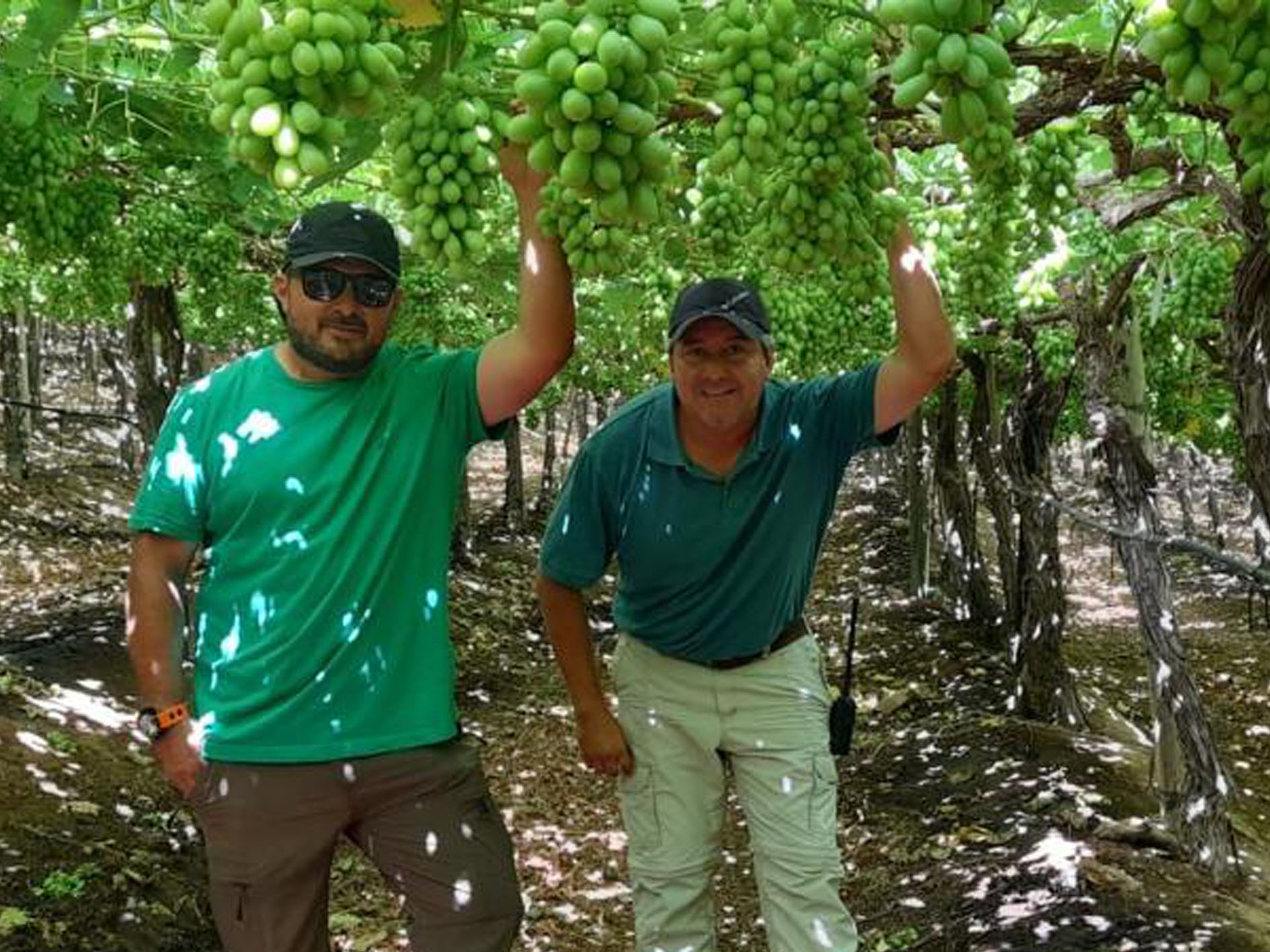 Ricardo Azocar, General Manager (right), Marcos Burr, Quality Assistant Manager (left), Agricola las Totoras, Ovalle Valley, Region IV