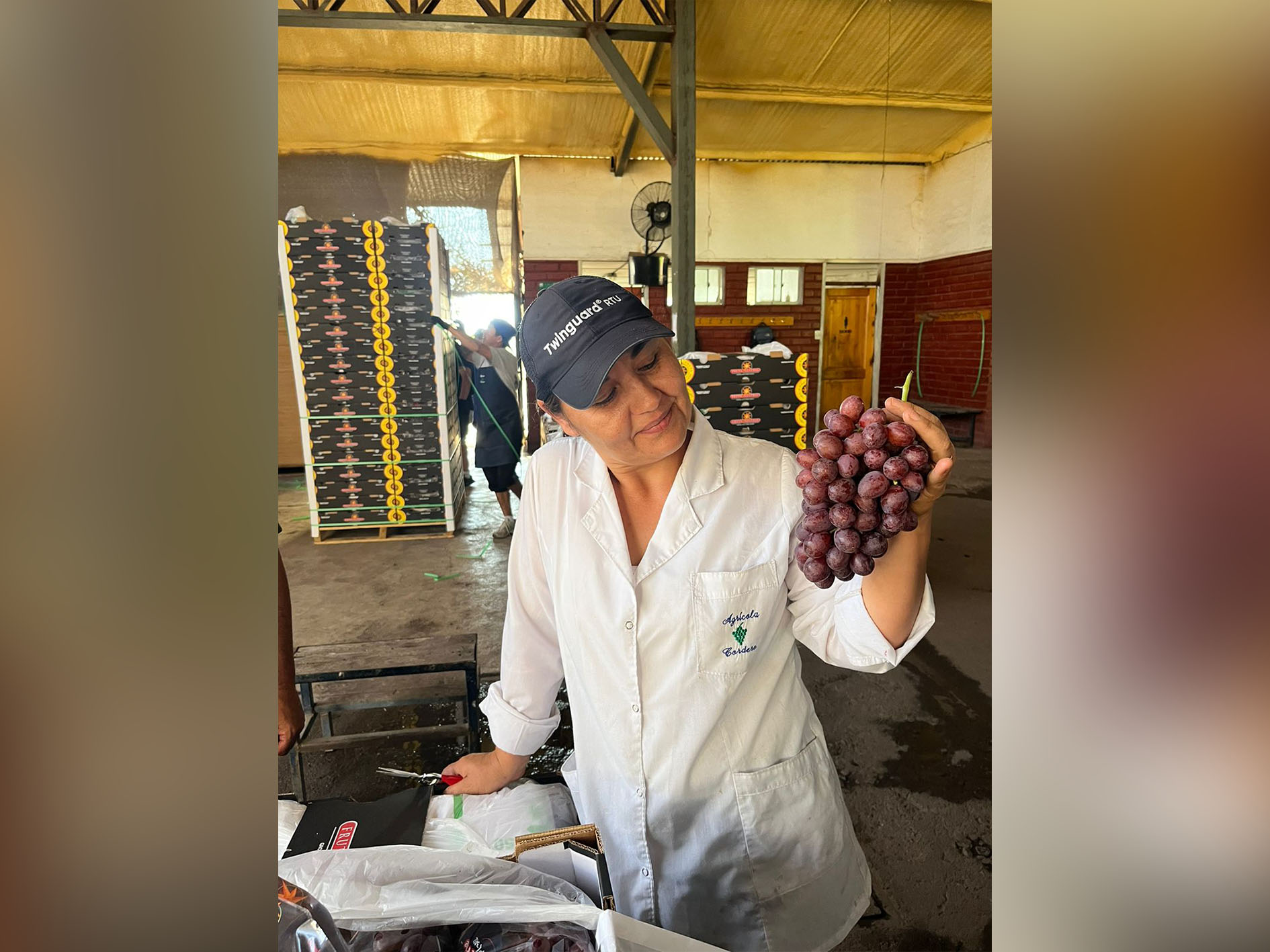 ARRA Passion Fire, El Tellino Farms