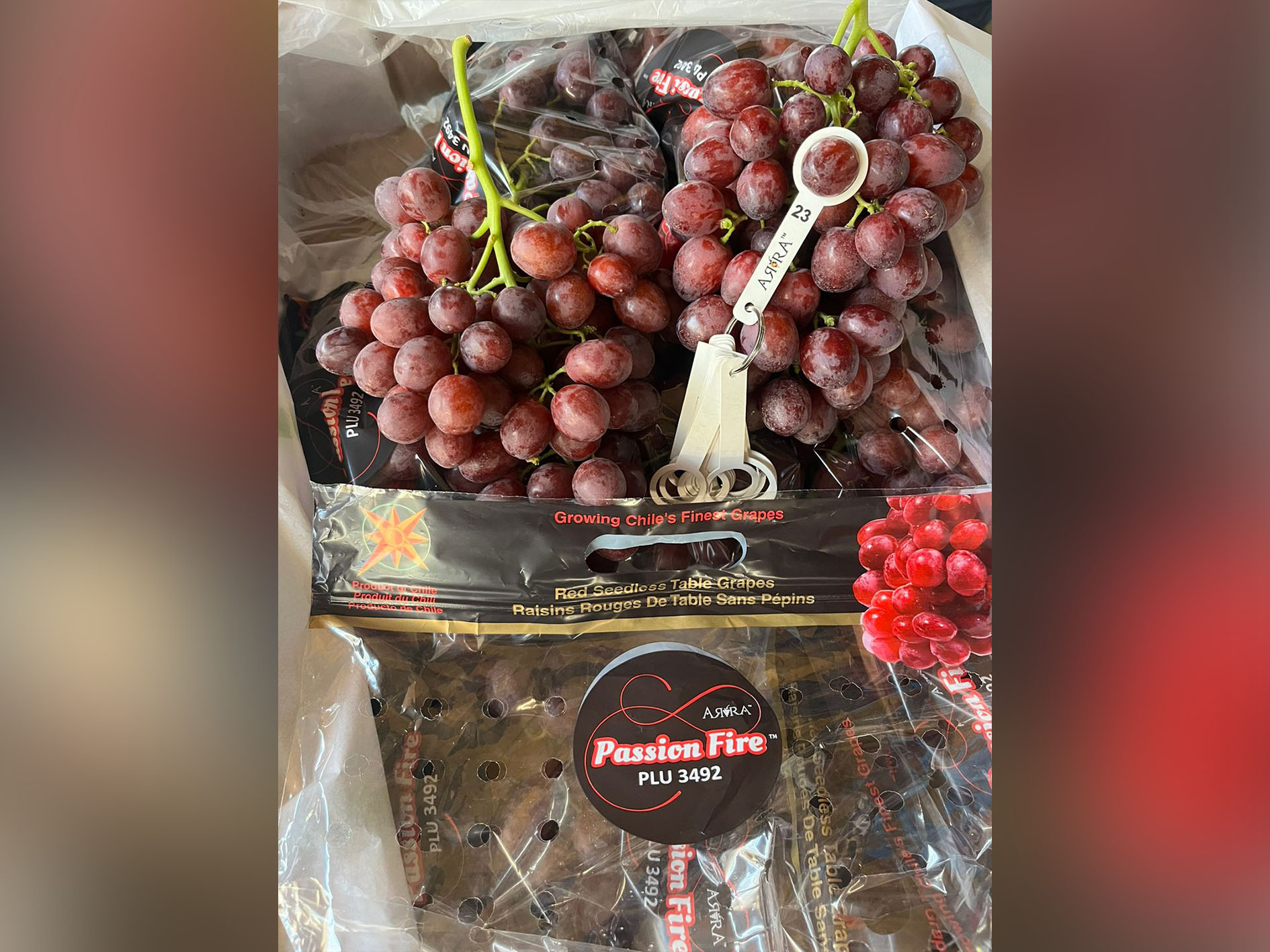 ARRA Passion Fire, El Tellino Farms