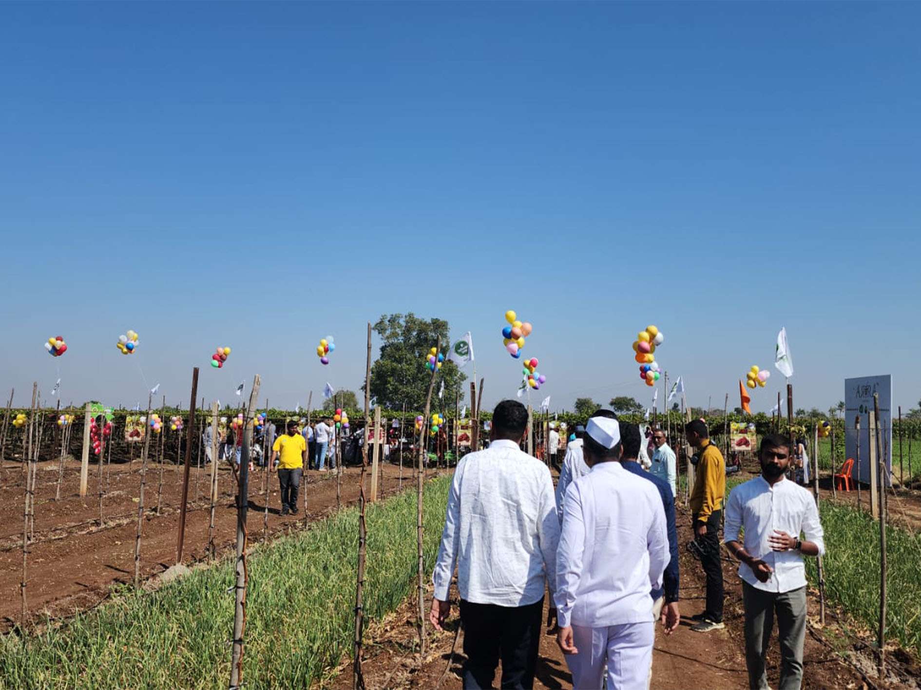 FMTINDIA_0000s_0000_Feb Sale Days - Sayhadri Farms (1)