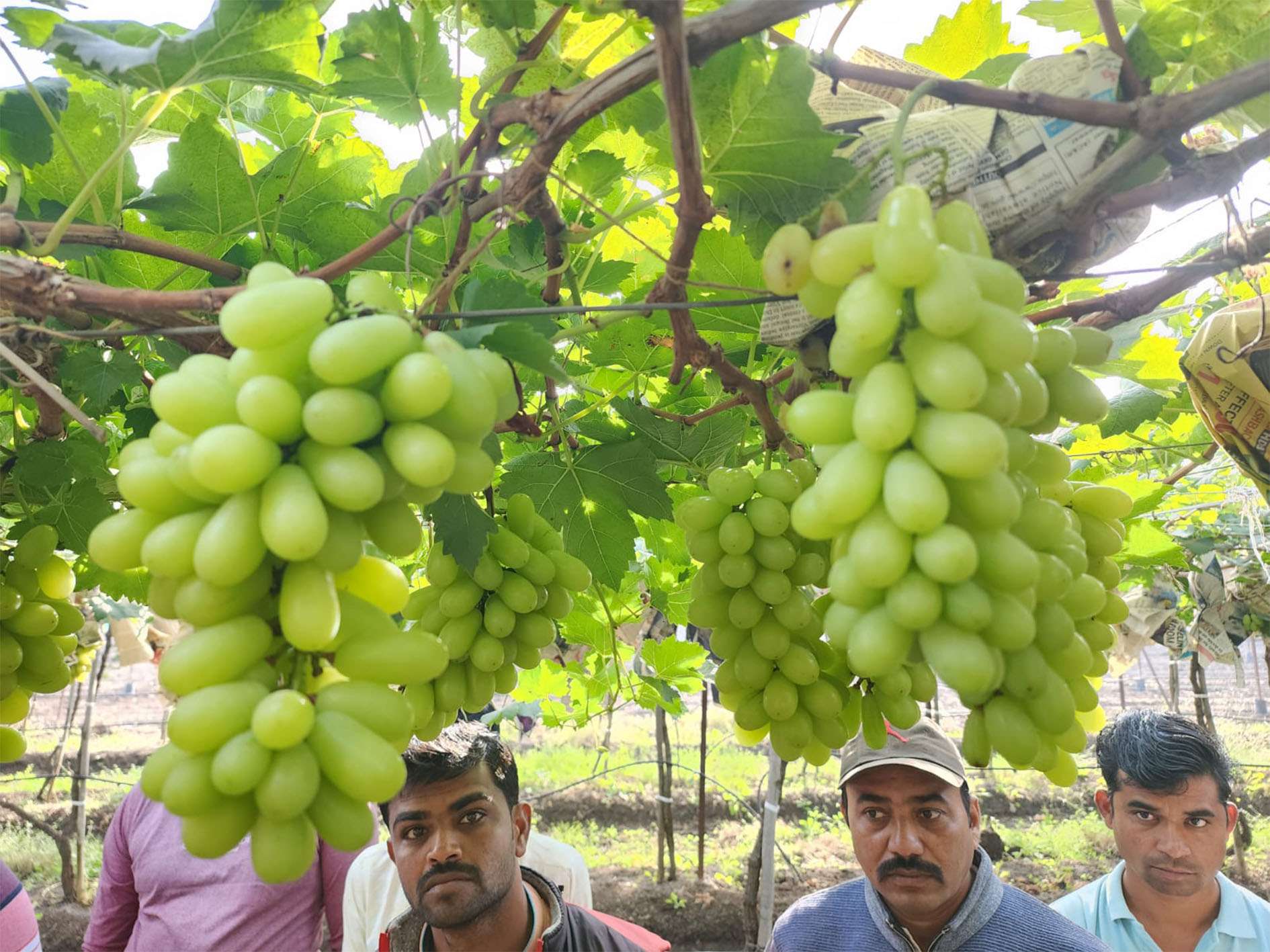 FMTINDIA_0000s_0001_IMG-20240214-WA0004
