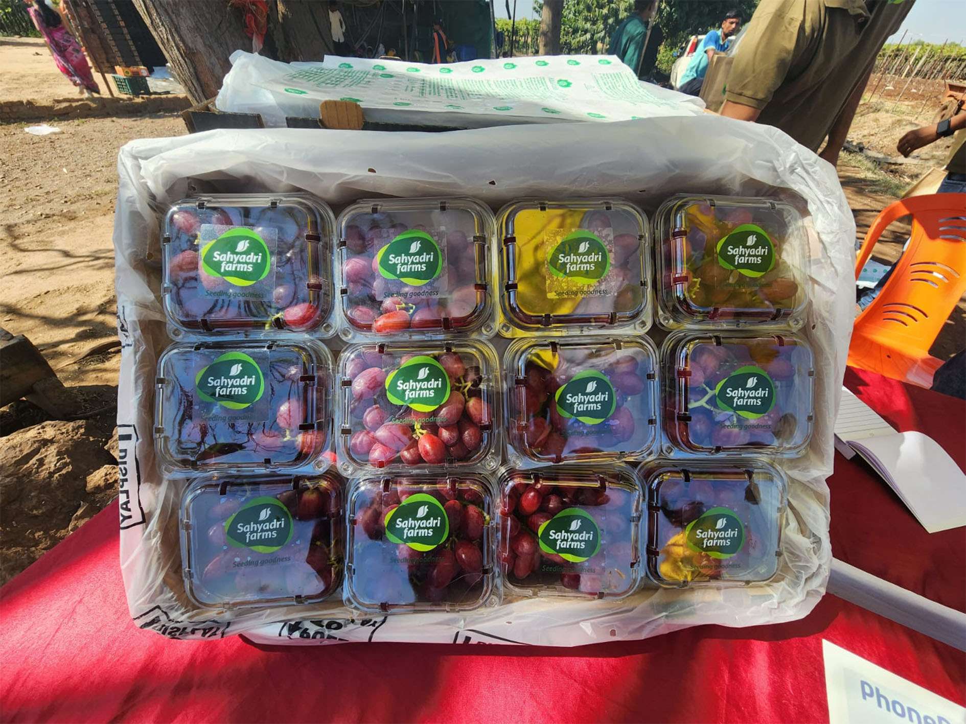FMTINDIA_0000s_0007_Feb Sale Days - Sayhadri Farms (8)