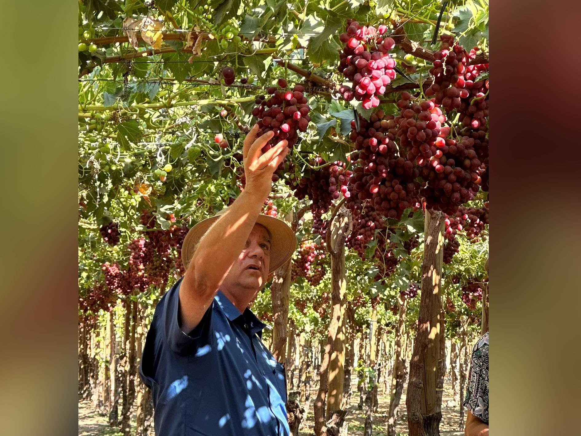 Karl Conrads with ARRA Fire Crunch at Fruticola Y Exportadora Atacama