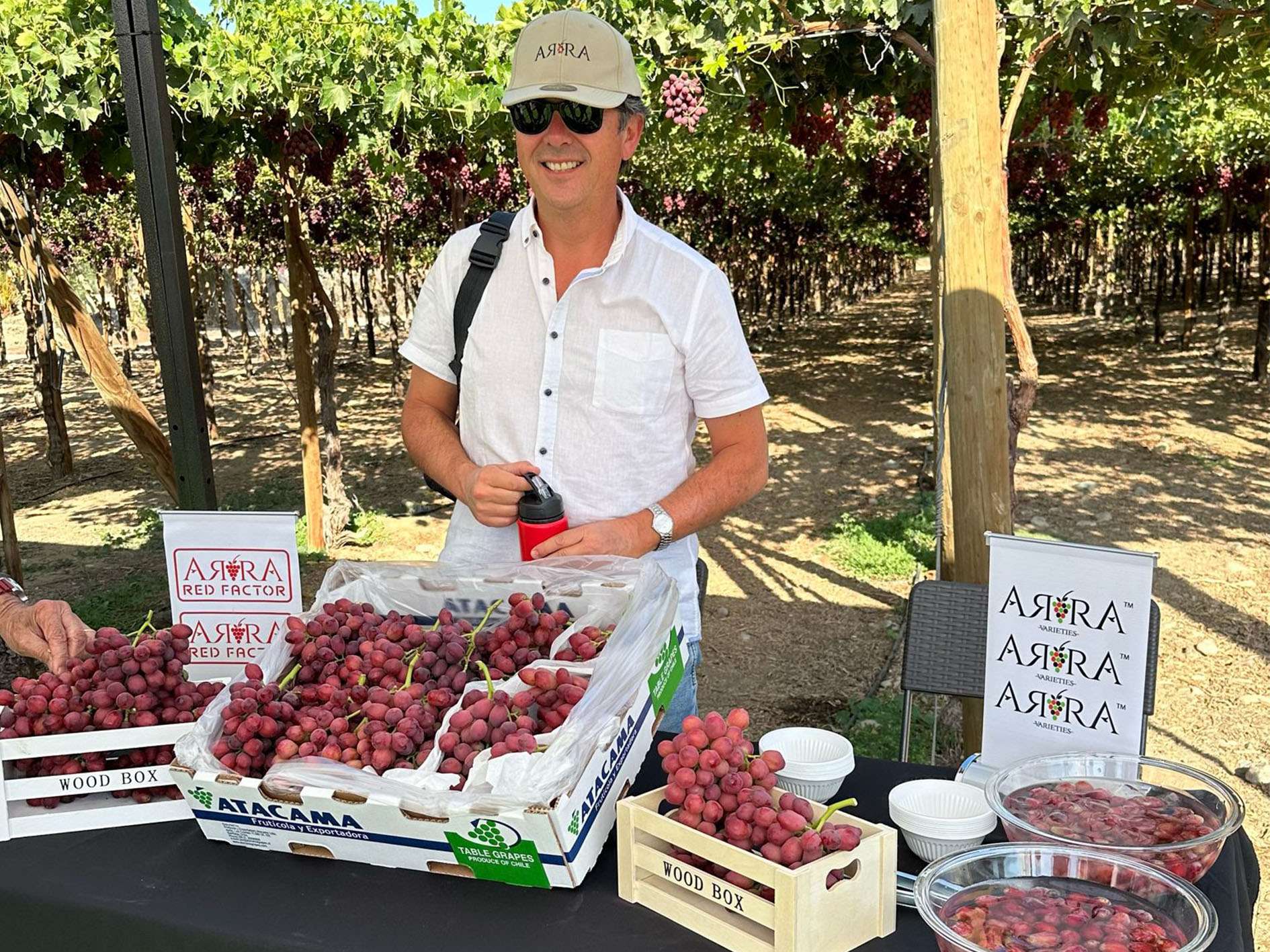 Patricio Aguirre, Owner of Agricola Aguirre y Aguirre