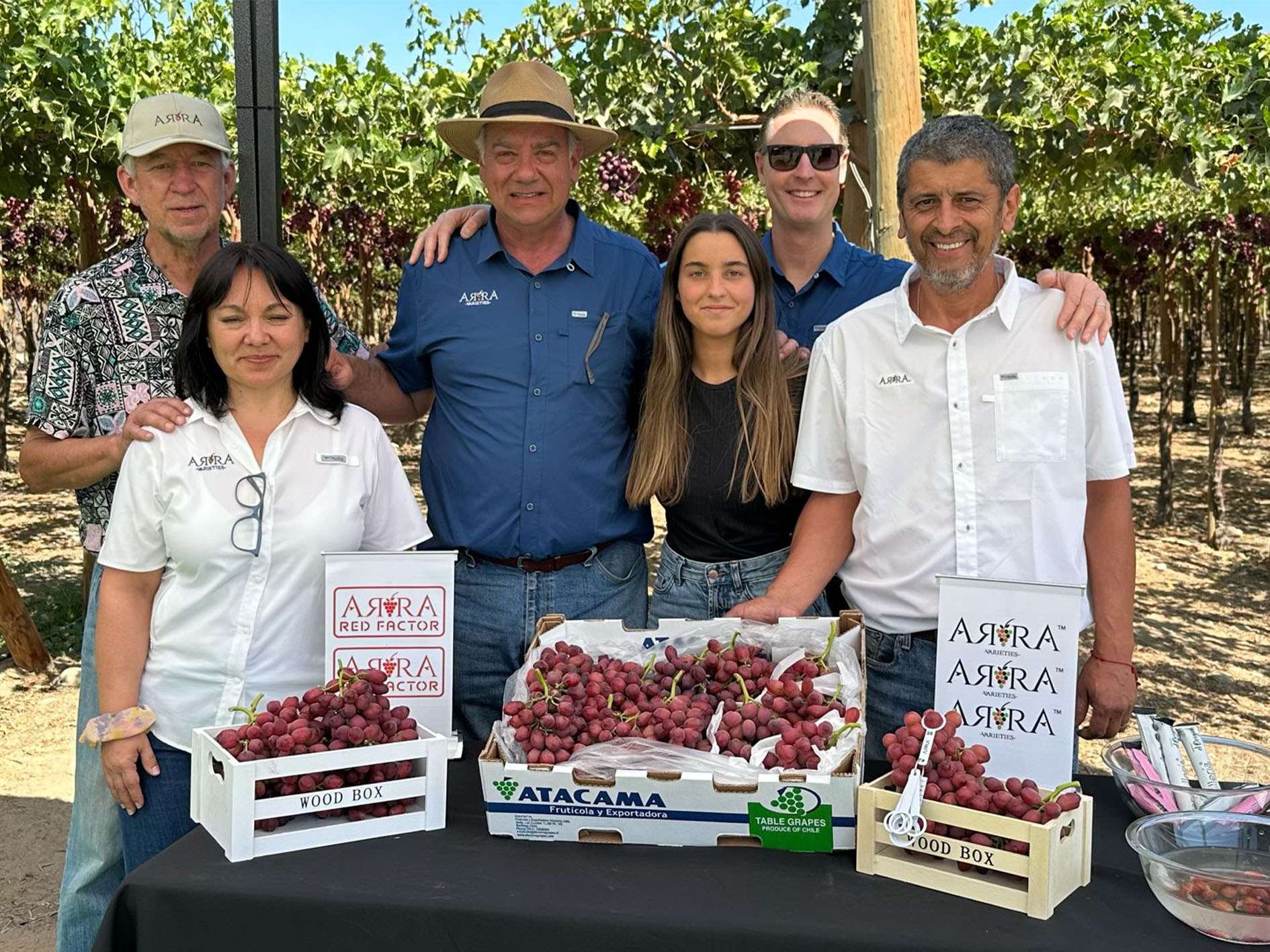 The Grapasa Team at the Field Day at Fruticola Y Exportadora Atacama
