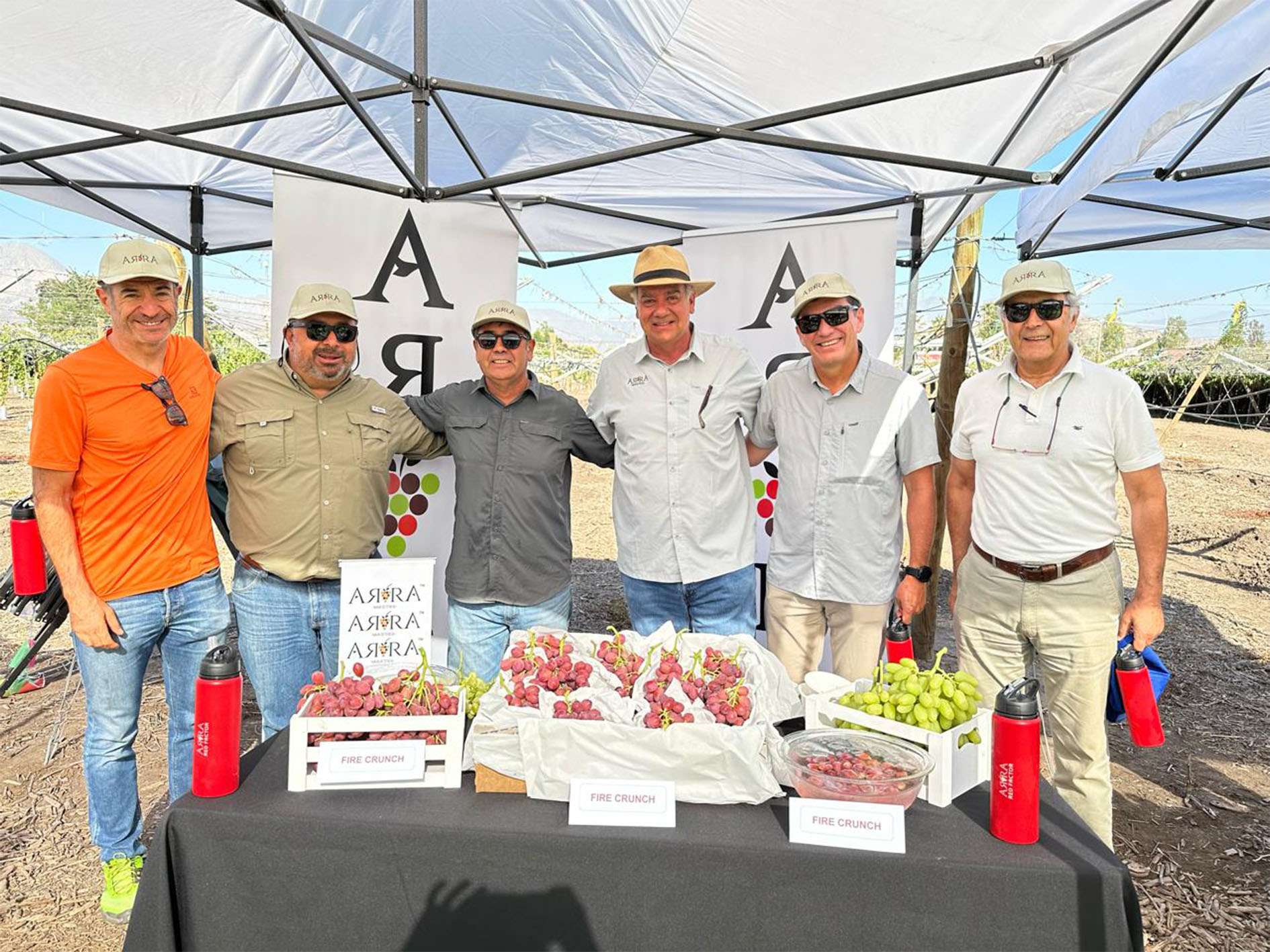Renzo Peppi: Owner of Agricola Peppi, Francisco Amar: Technical Manager of Santa Elena, Robert Stuart: Regional Manager of Exportadora Rio Blanco, Karl Conrads, Rodrigo Arévalo: Agricultural Field Manager Rio Blanco, Mariano Peppi: GM Agricola Peppi