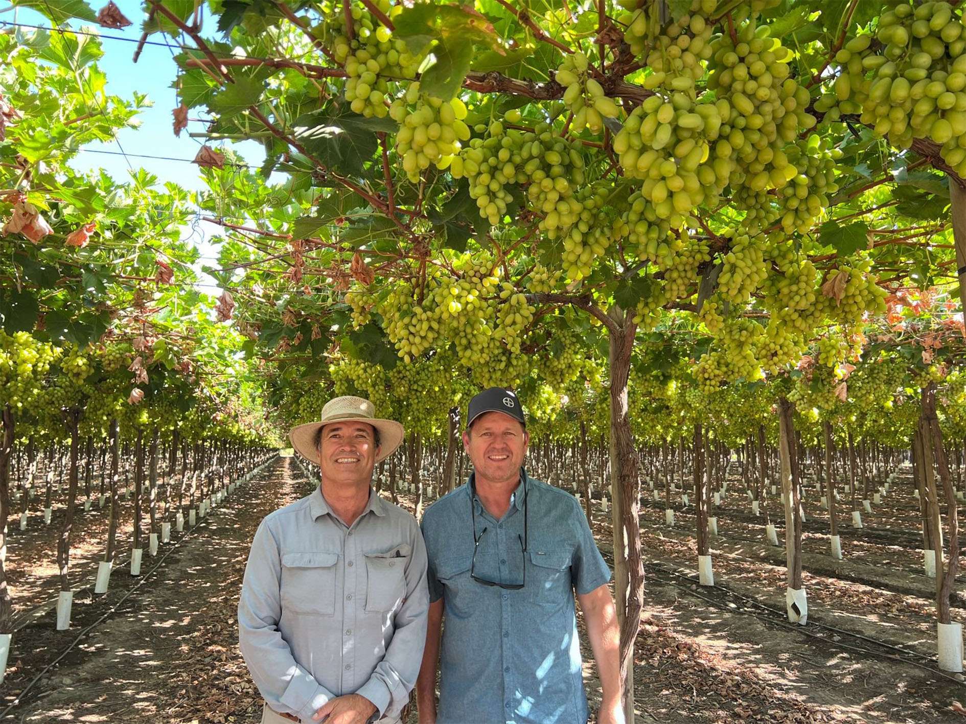 ARRA Sweeties, Agricola Del Solar, Fundo Bellavista's Ramon Vergara,  General Manager (left) and Alberto Flores, Field Manager  (right)