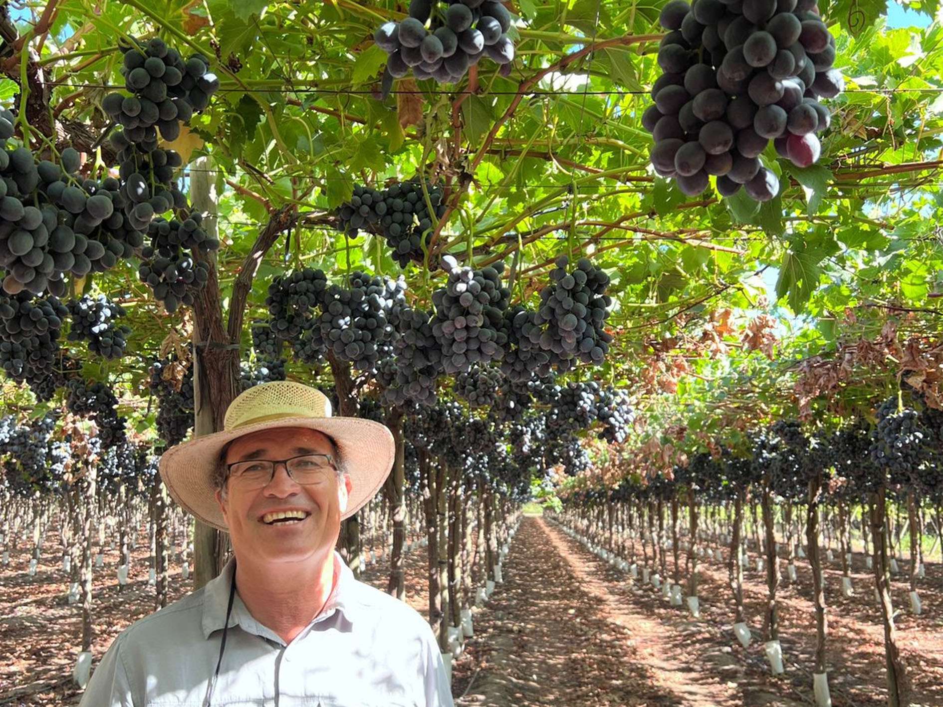 Ramon Vergara with Fundo Bellavista's ARRA Mystic Dream