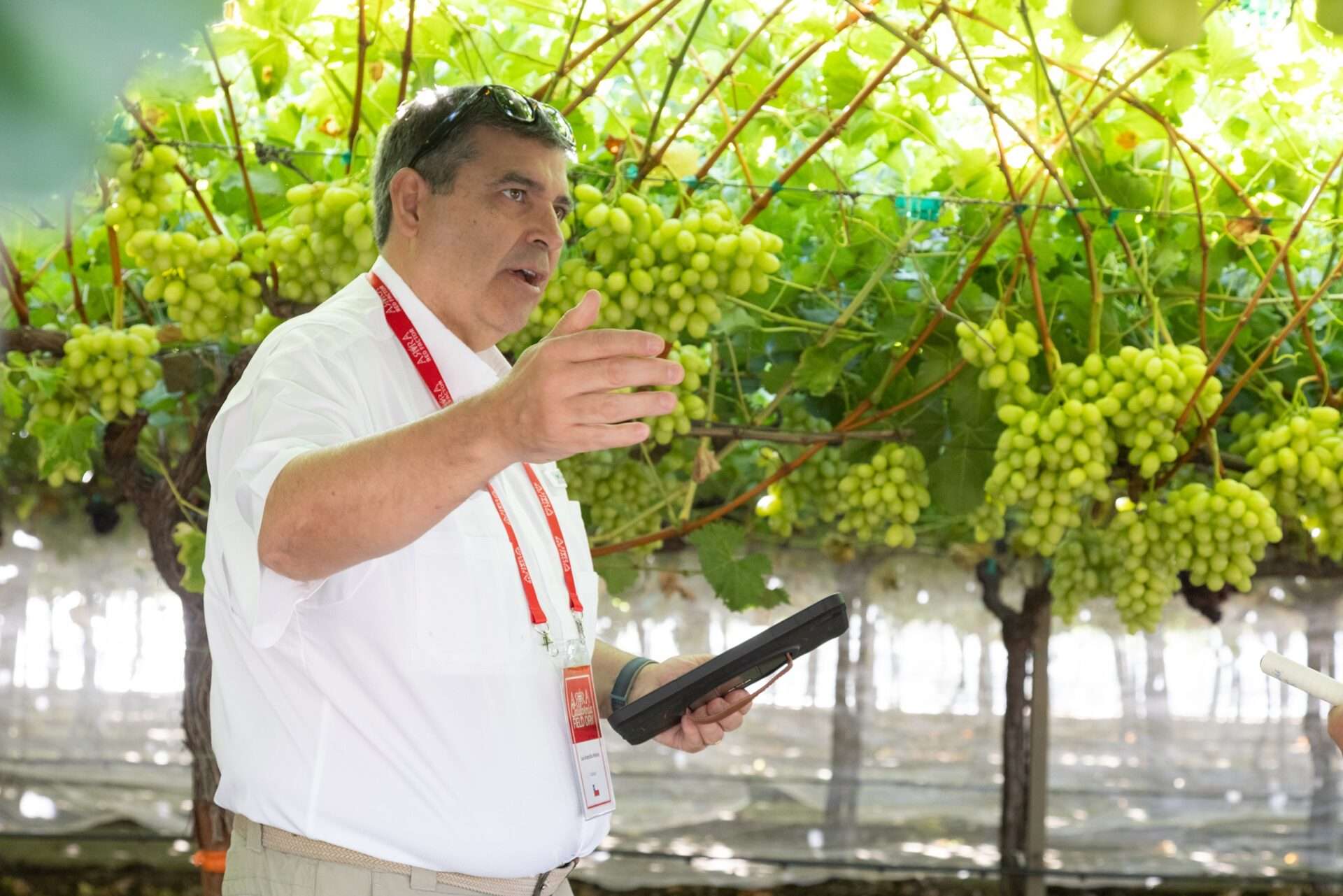 Luis Arancibia with the very early ARRA Honey Pop during the 2023 California ARRA field days