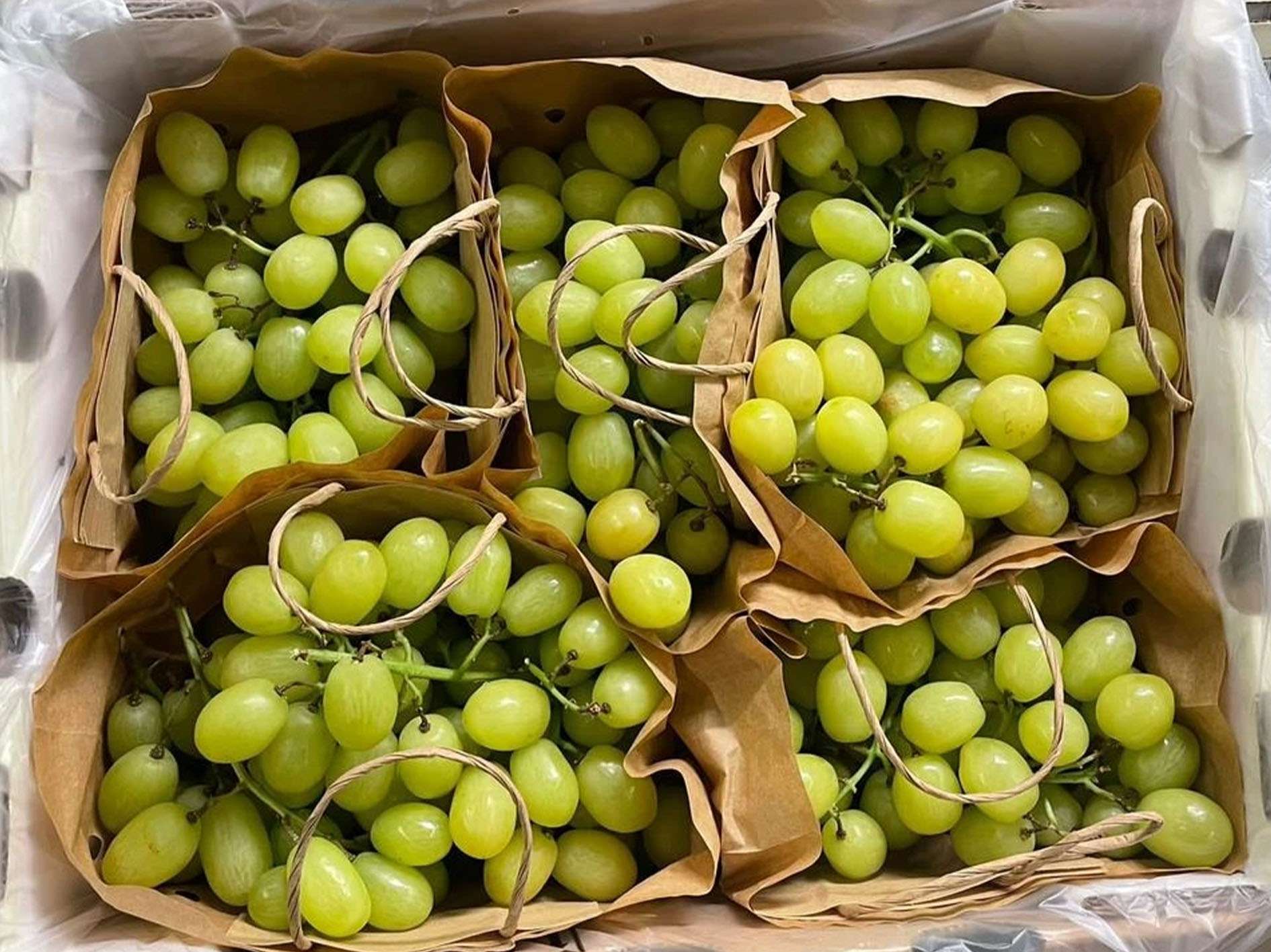 honeypop campaign_0000s_0004_NEW - ARRA Honey Pop - Paul Dippnaar - South Africa