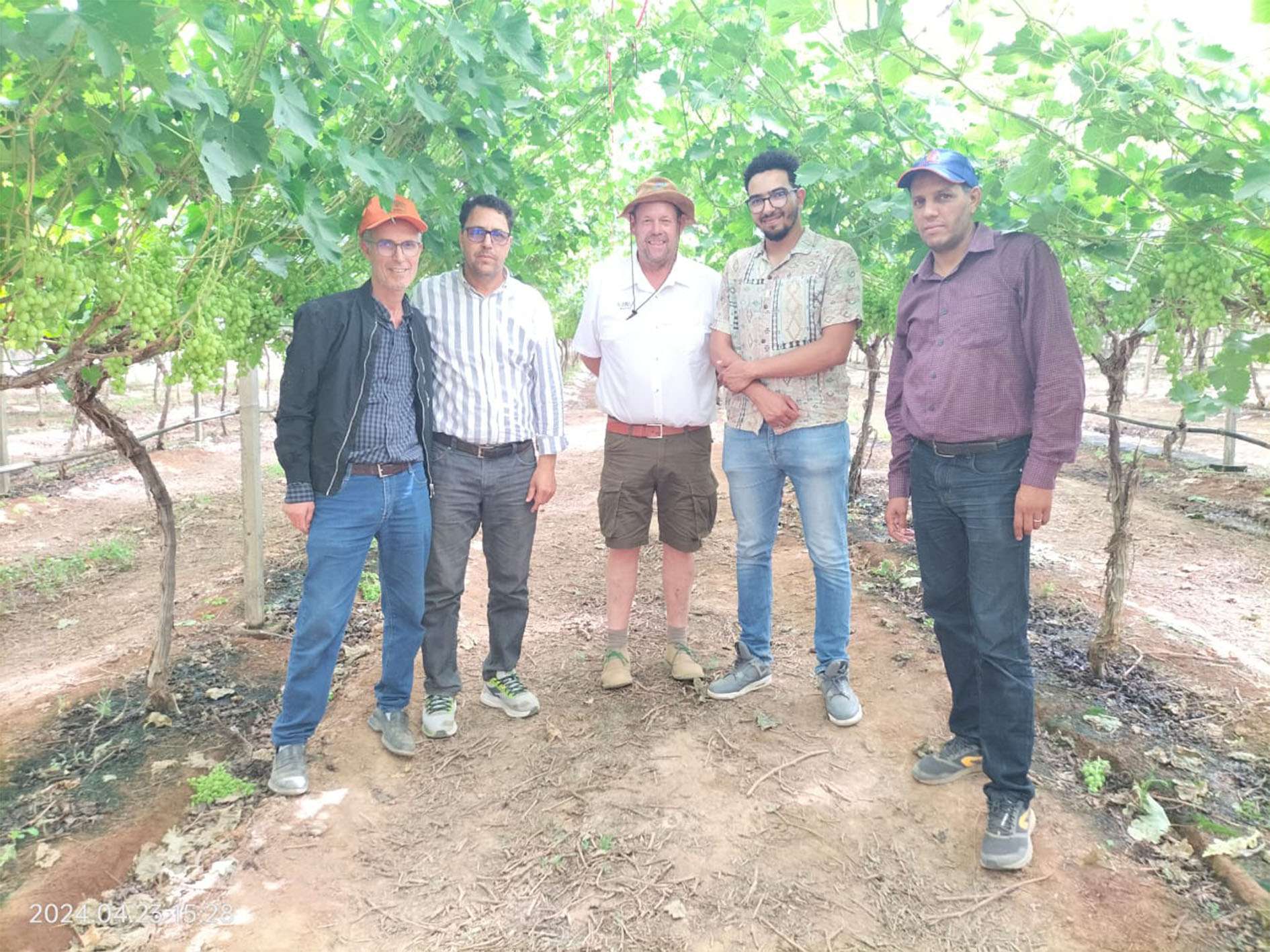 Delassus Team in their Taroudant farm