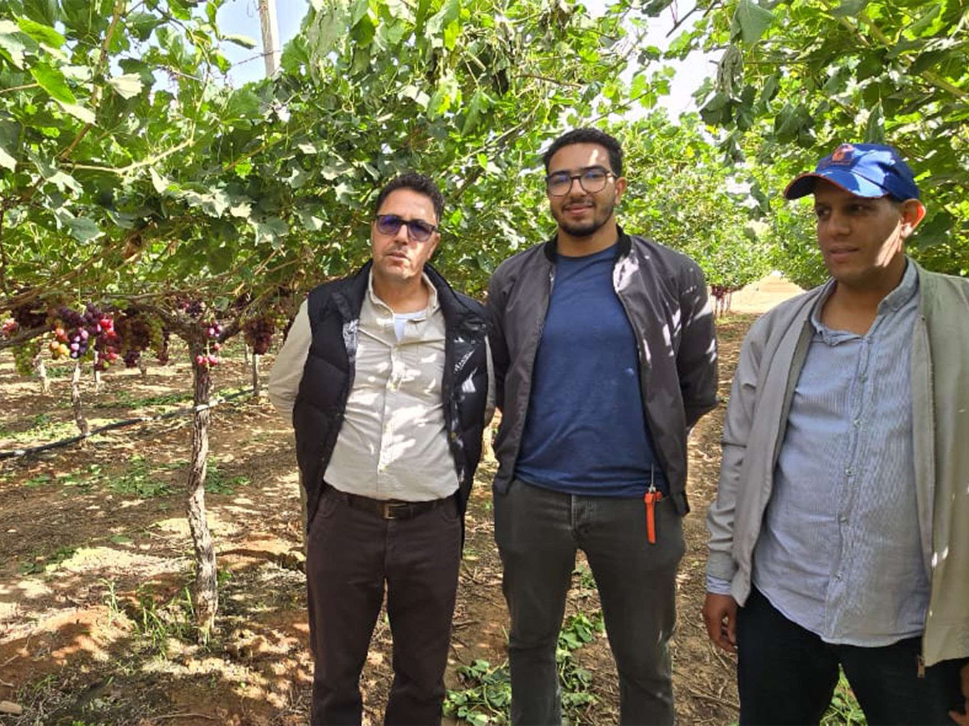 Delassus Group in their ARRA Passion Fire vineyard