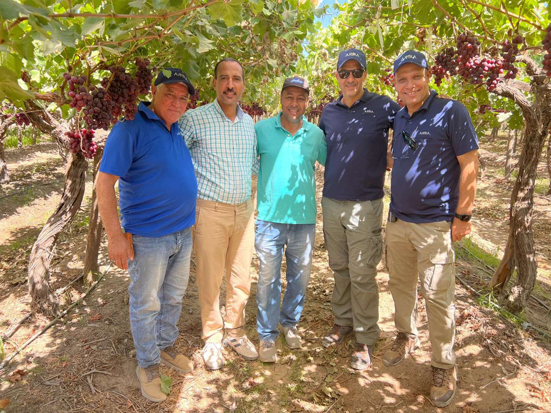 From left: Eng. Fayez Dowidar (ARRA Egypt), Eng. Mohamed Abd El Salam (Belco), Eng. Mohamed Gad (Belco), Georgios Bitsakos (Grapa) and Ali Shahata (ARRA Egypt)  at Belco ARRA Passion Fire vineyard