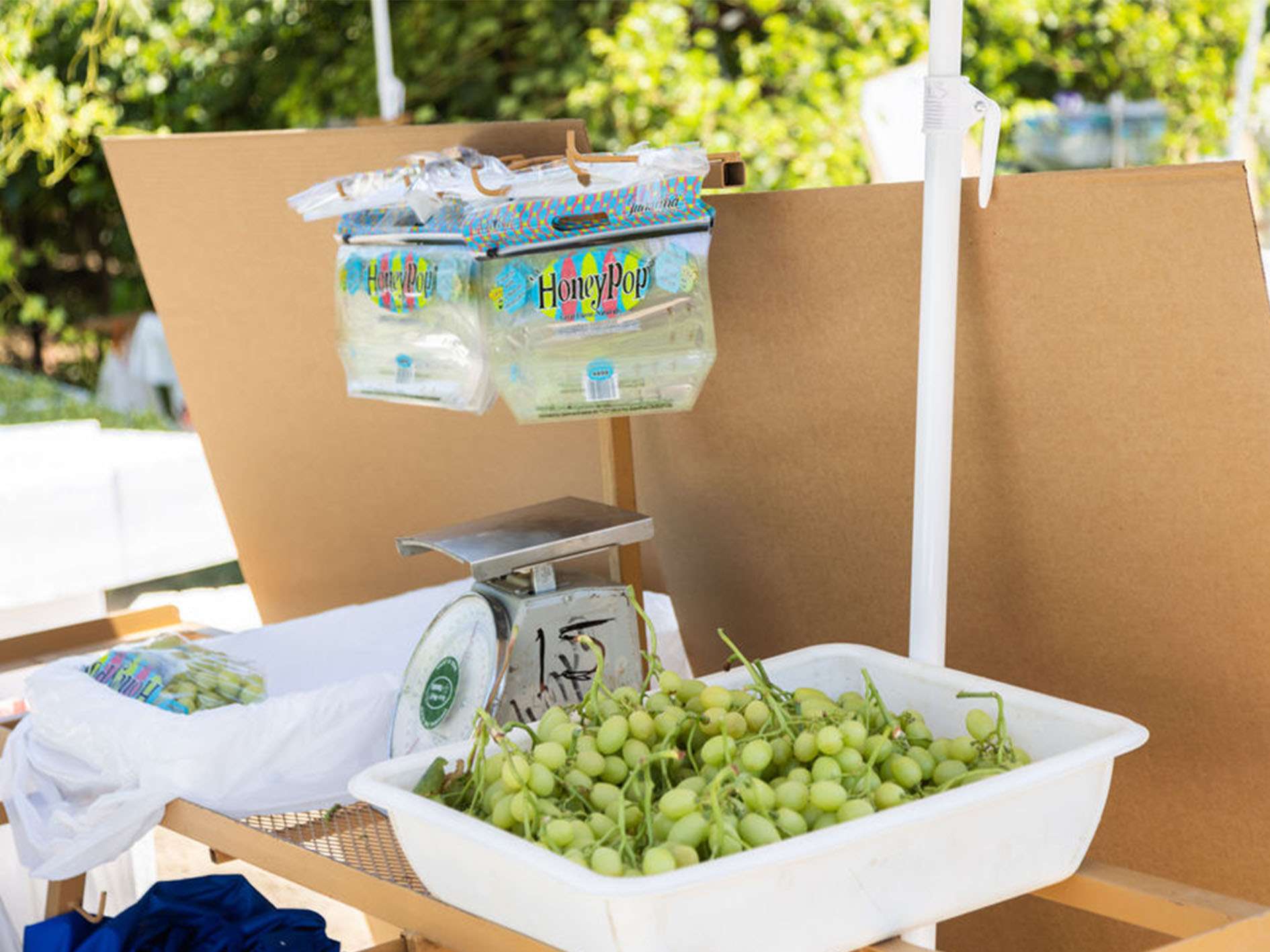 _0000_ARRA2_July2024-213