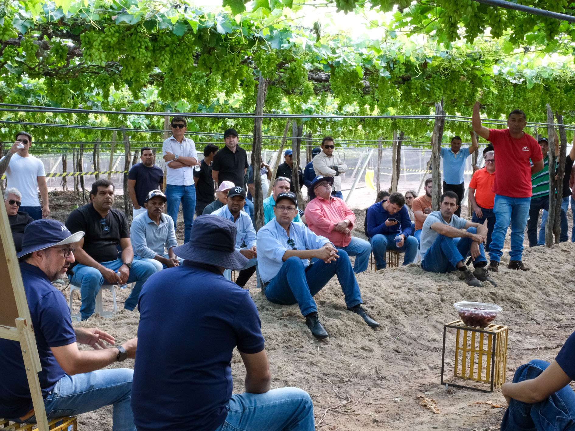 _0000s_0000_DSCF0490