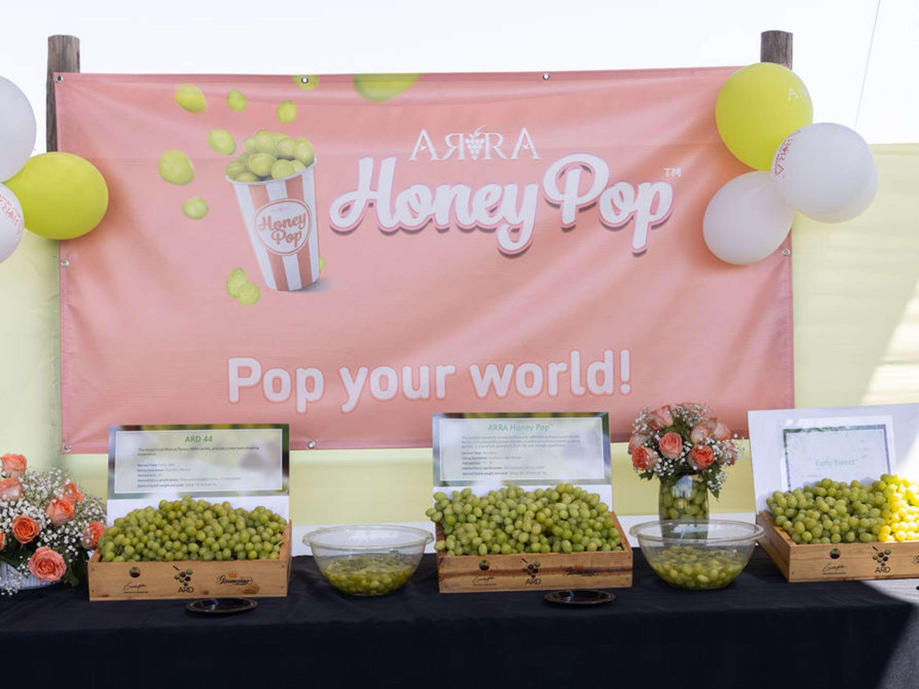 _0000s_0000s_0006_ARRA3_July2024-318