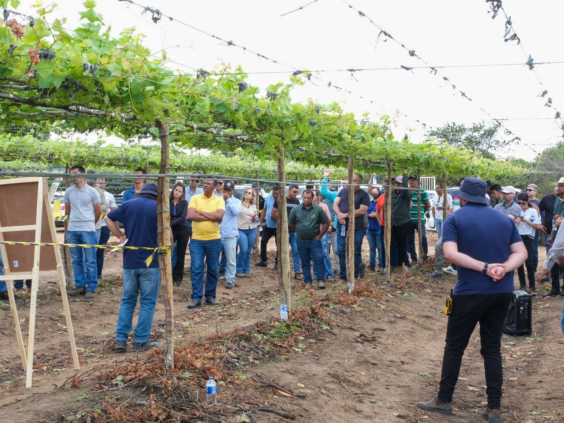 _0000s_0001_DSCF0478