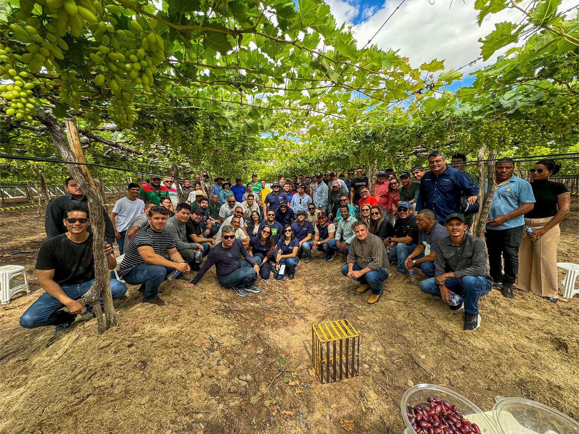 _0000s_0002s_0000_ARRA Brazil FD - new licensees (46)