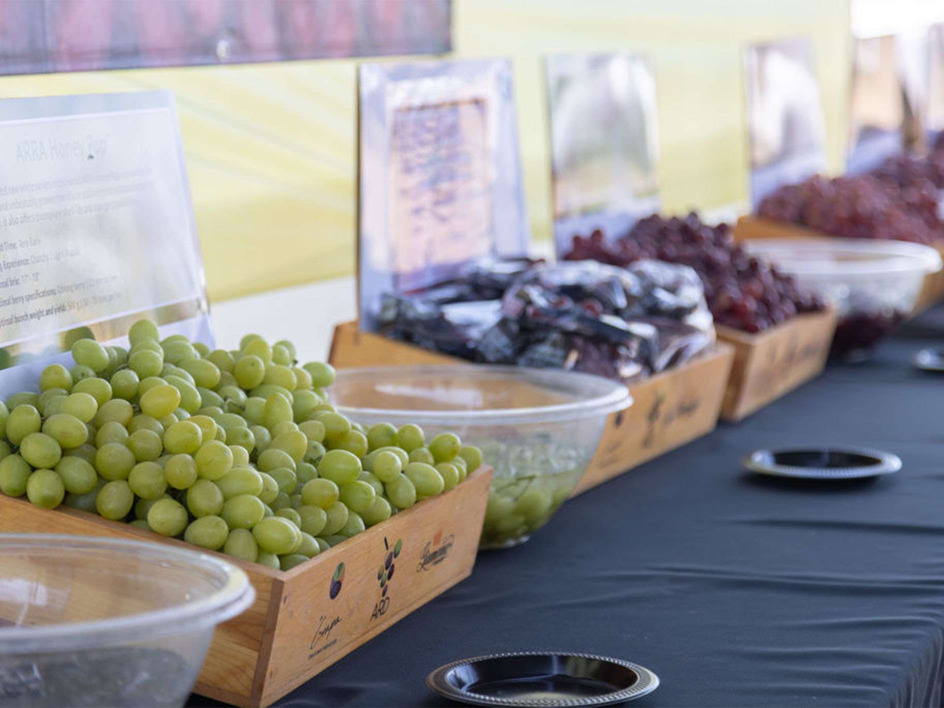 _0000s_0002s_0000_ARRA2_July2024-129