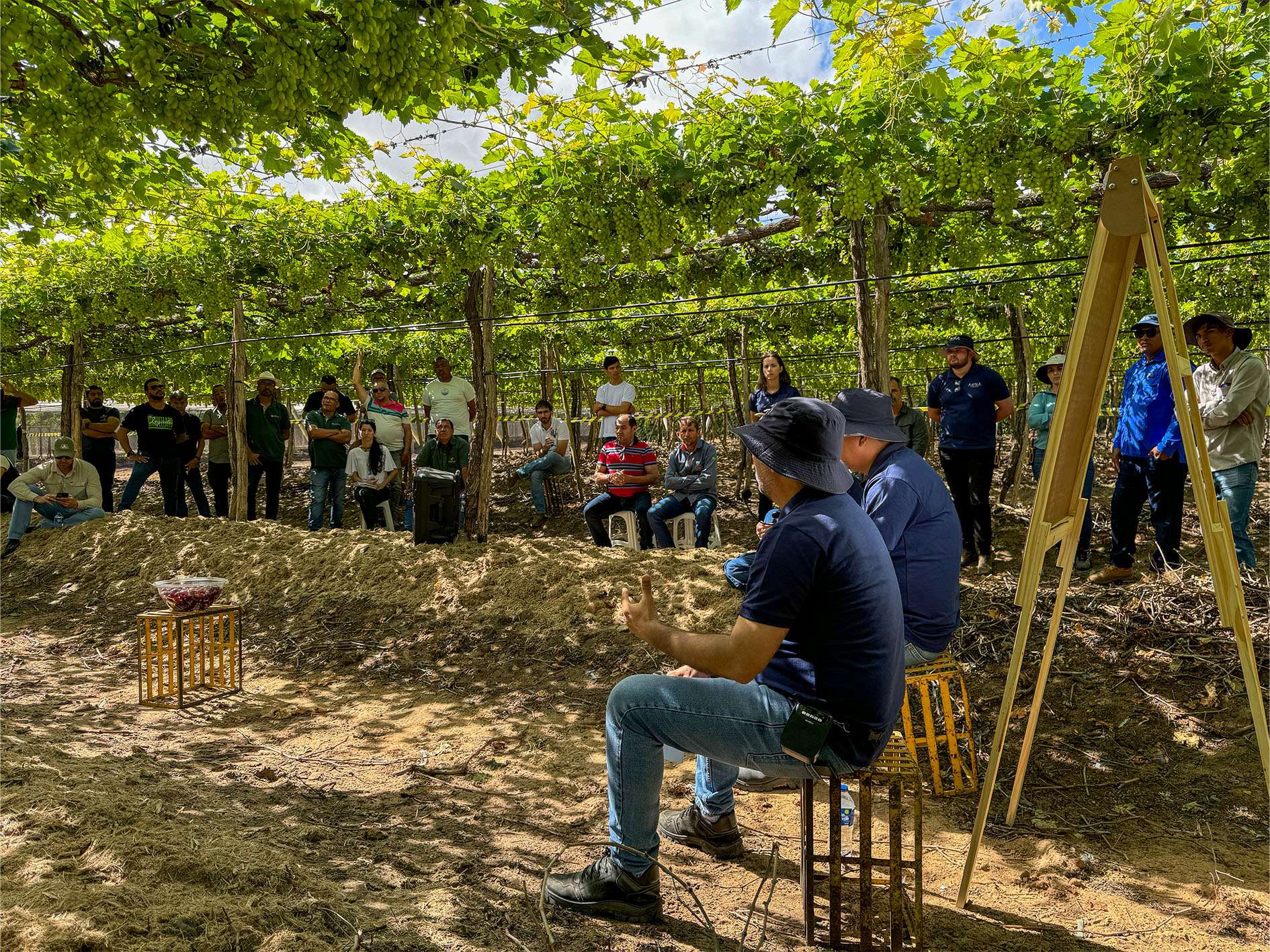 _0000s_0002s_0001_ARRA Brazil FD - new licensees (45)