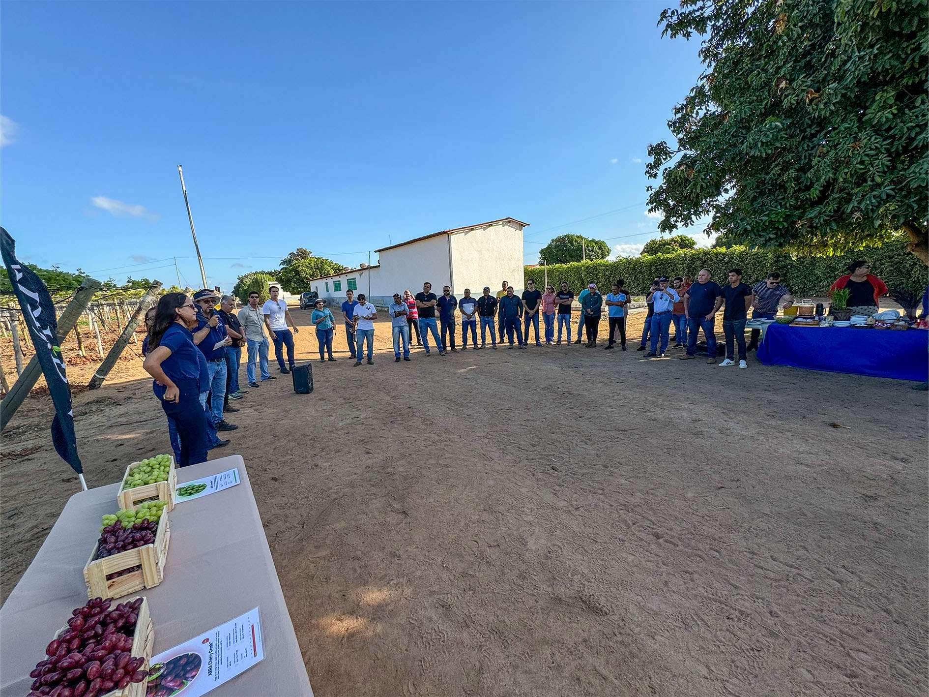 _0000s_0002s_0002_ARRA Brazil FD - new licensees (38)