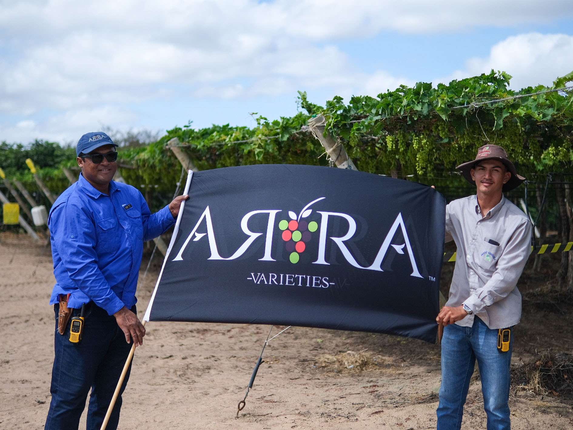 _0000s_0002s_0005_ARRA Brazil FD - new licensees (28)