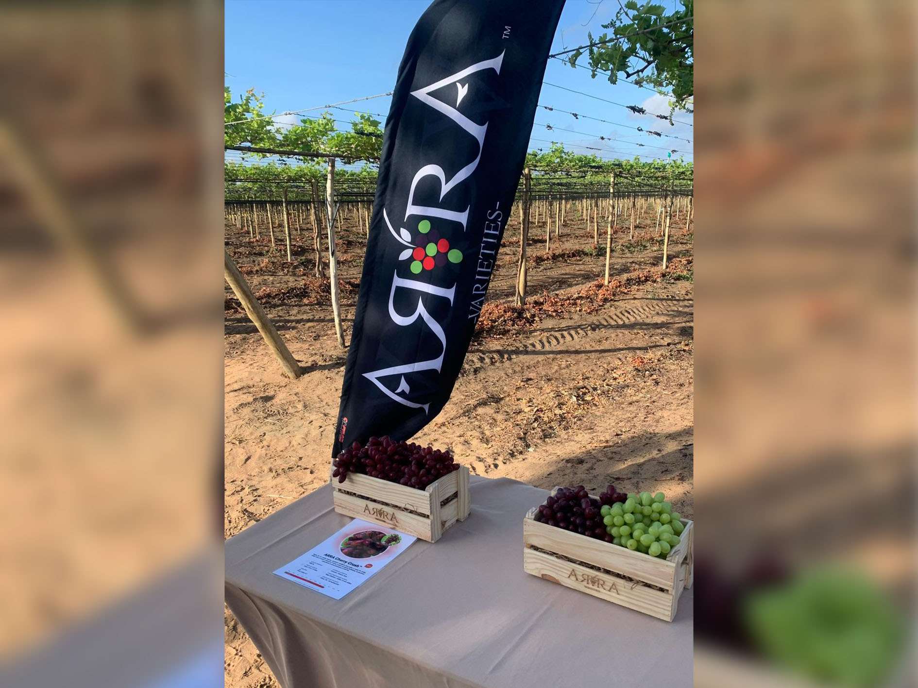 _0000s_0002s_0008_ARRA Brazil FD - new licensees (53)