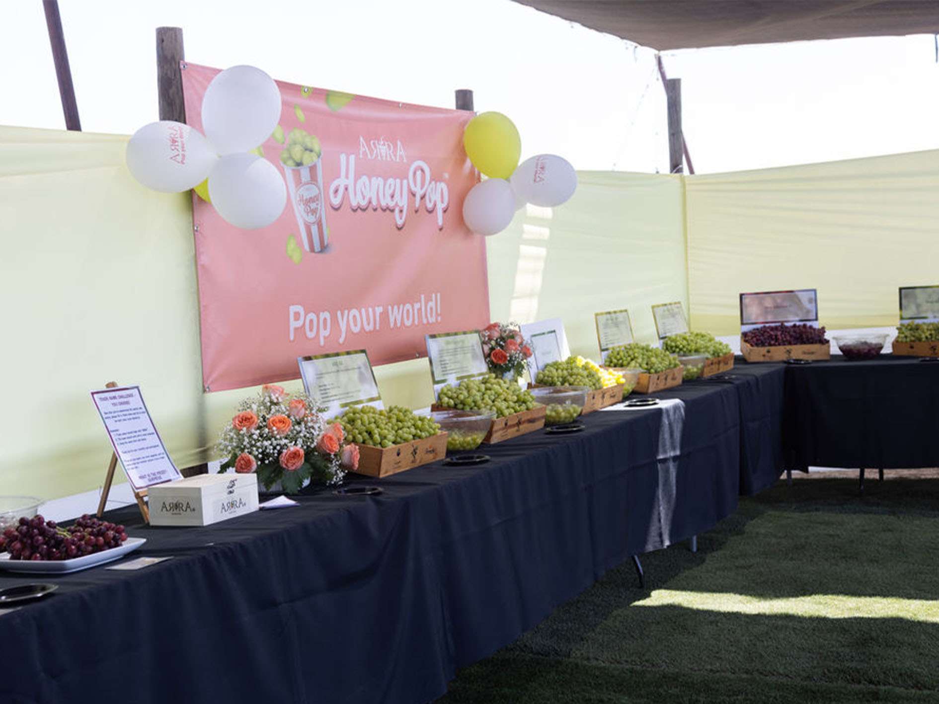 _0000s_0002s_0011_ARRA3_July2024-316