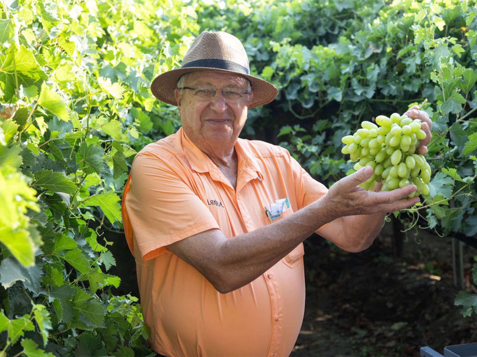 _0000s_0002s_0015_ARRA3_July2024-26