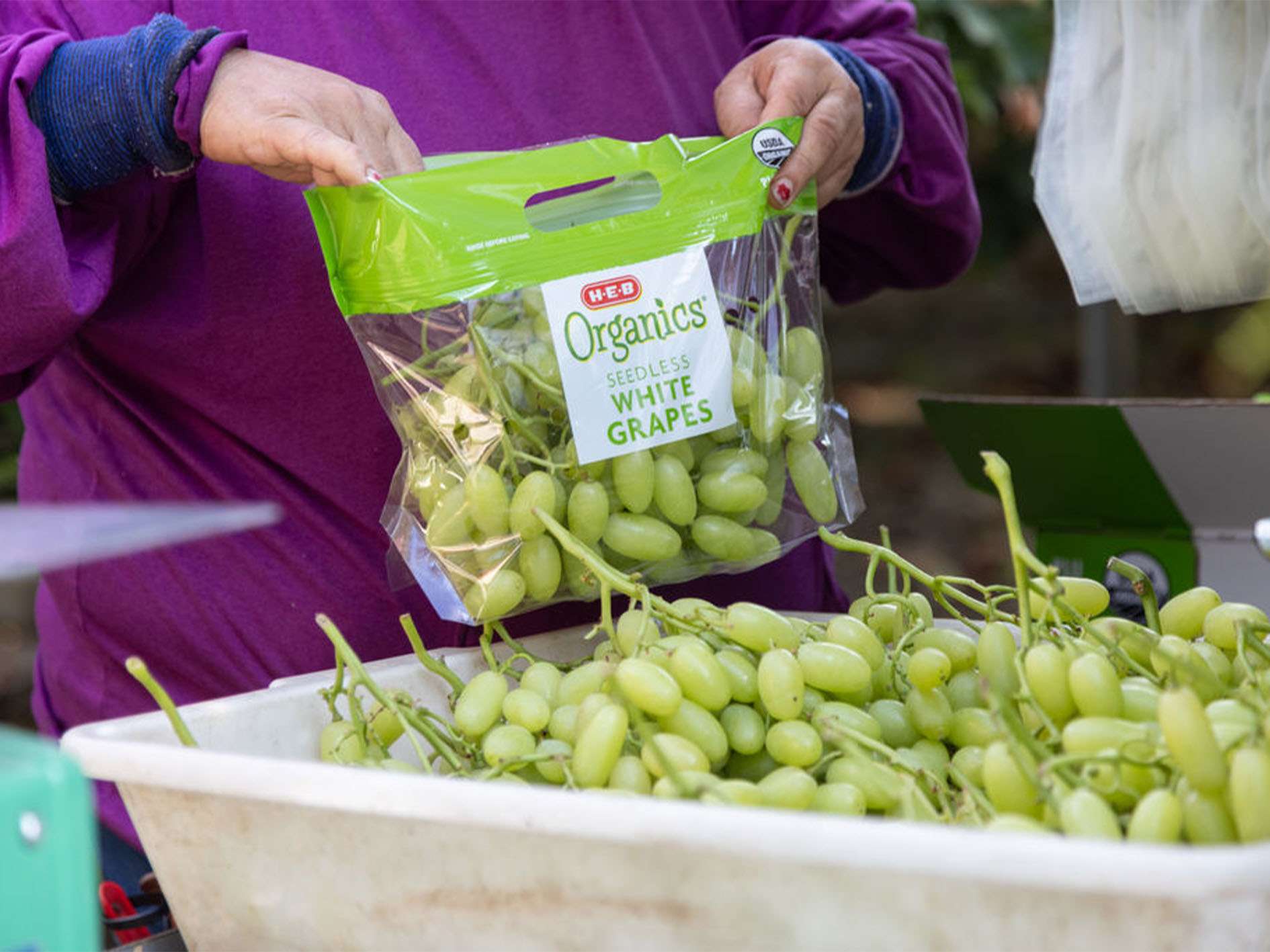 _0000s_0002s_0016_ARRA3_July2024-7