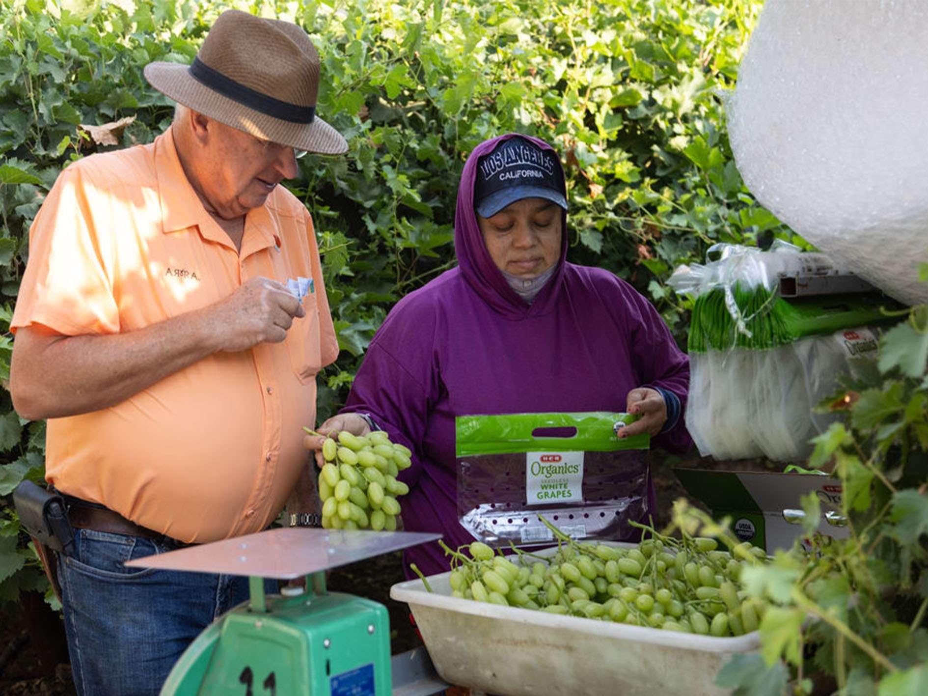 _0000s_0002s_0017_ARRA3_July2024-5