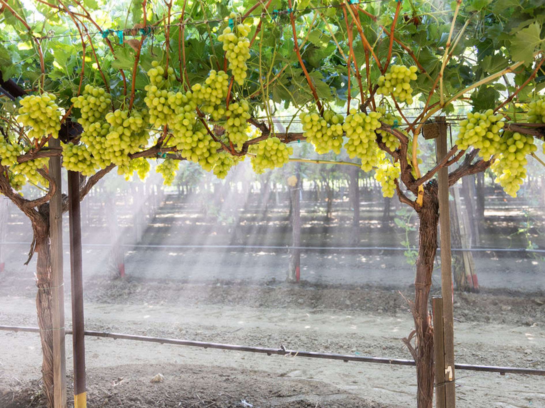 _0004_ARRA2_July2024-41