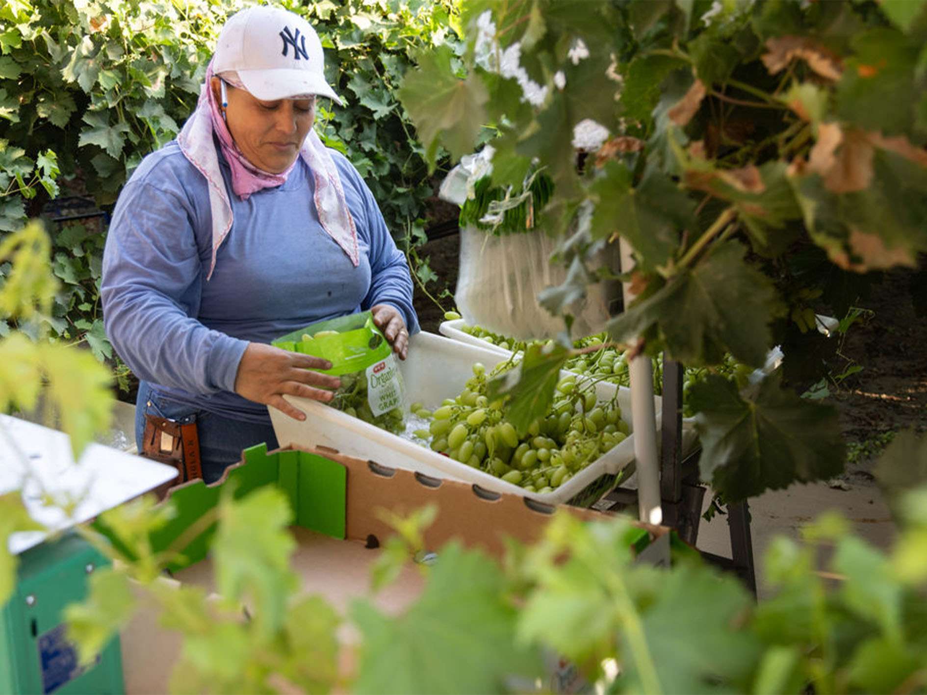 _0009_ARRA3_July2024-13