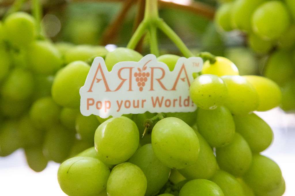 ARRA3_July2024-192