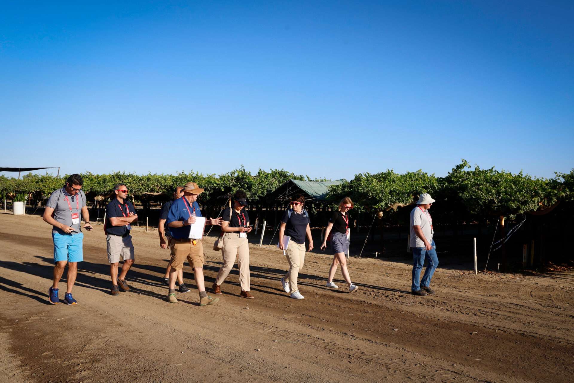 Field Days, August 2024
Bakersfield, California
