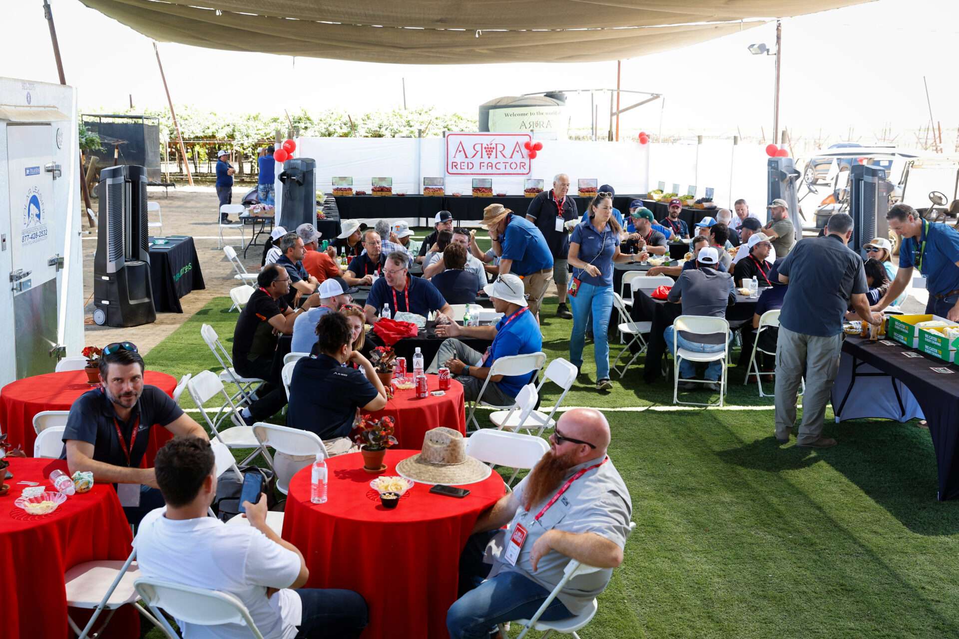 Field Days, August 2024
Bakersfield, California
