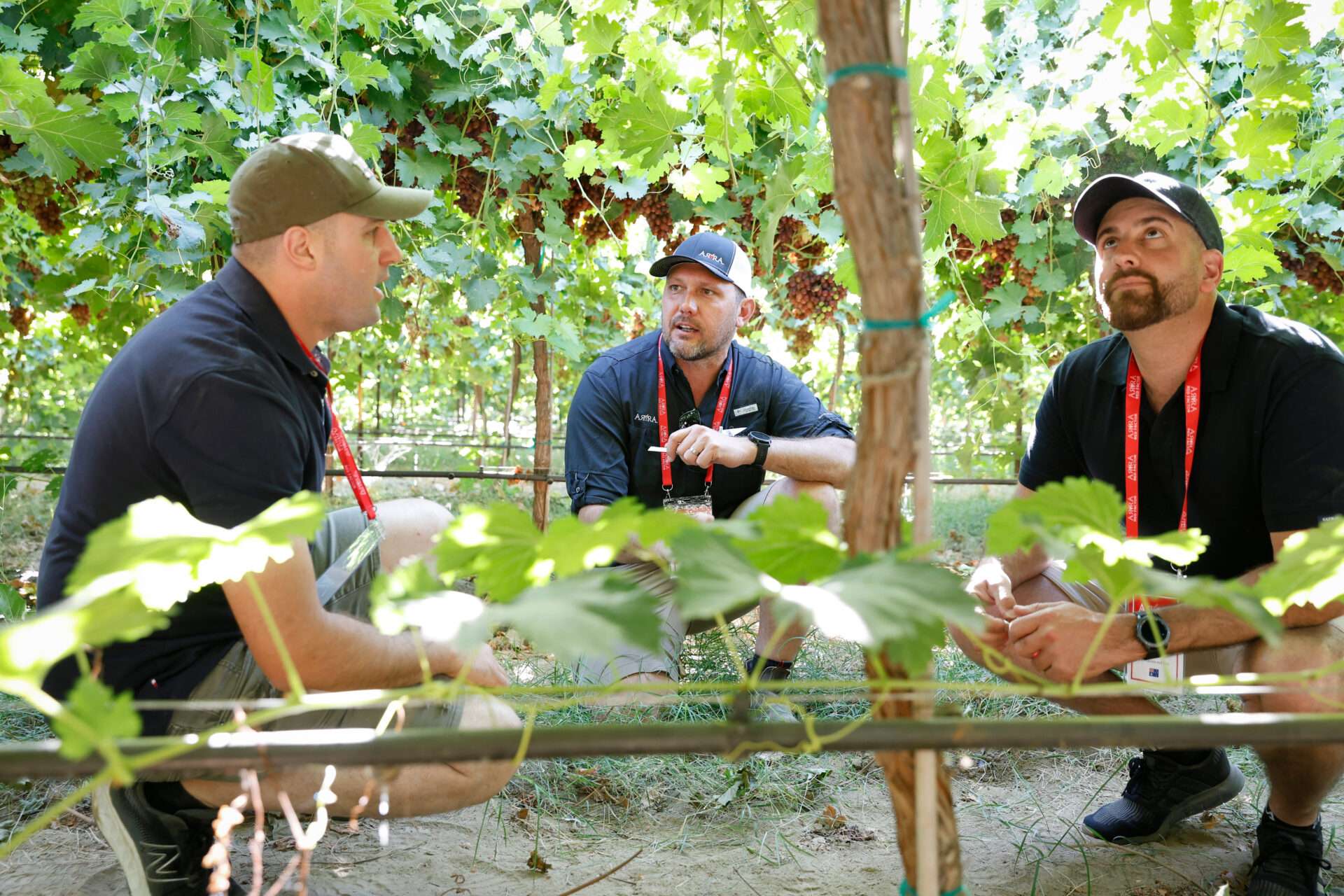 Field Days, August 2024
Bakersfield, California