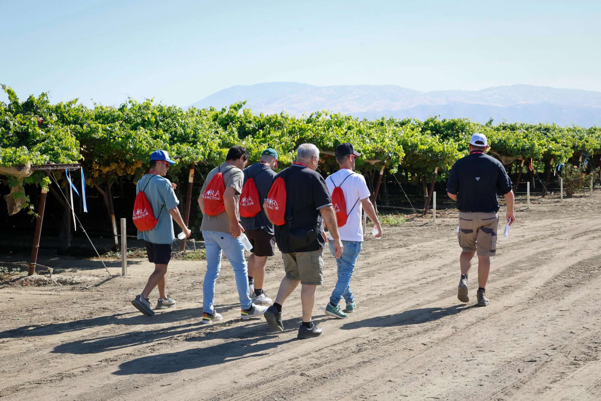 Field Days, August 2024
Bakersfield, California