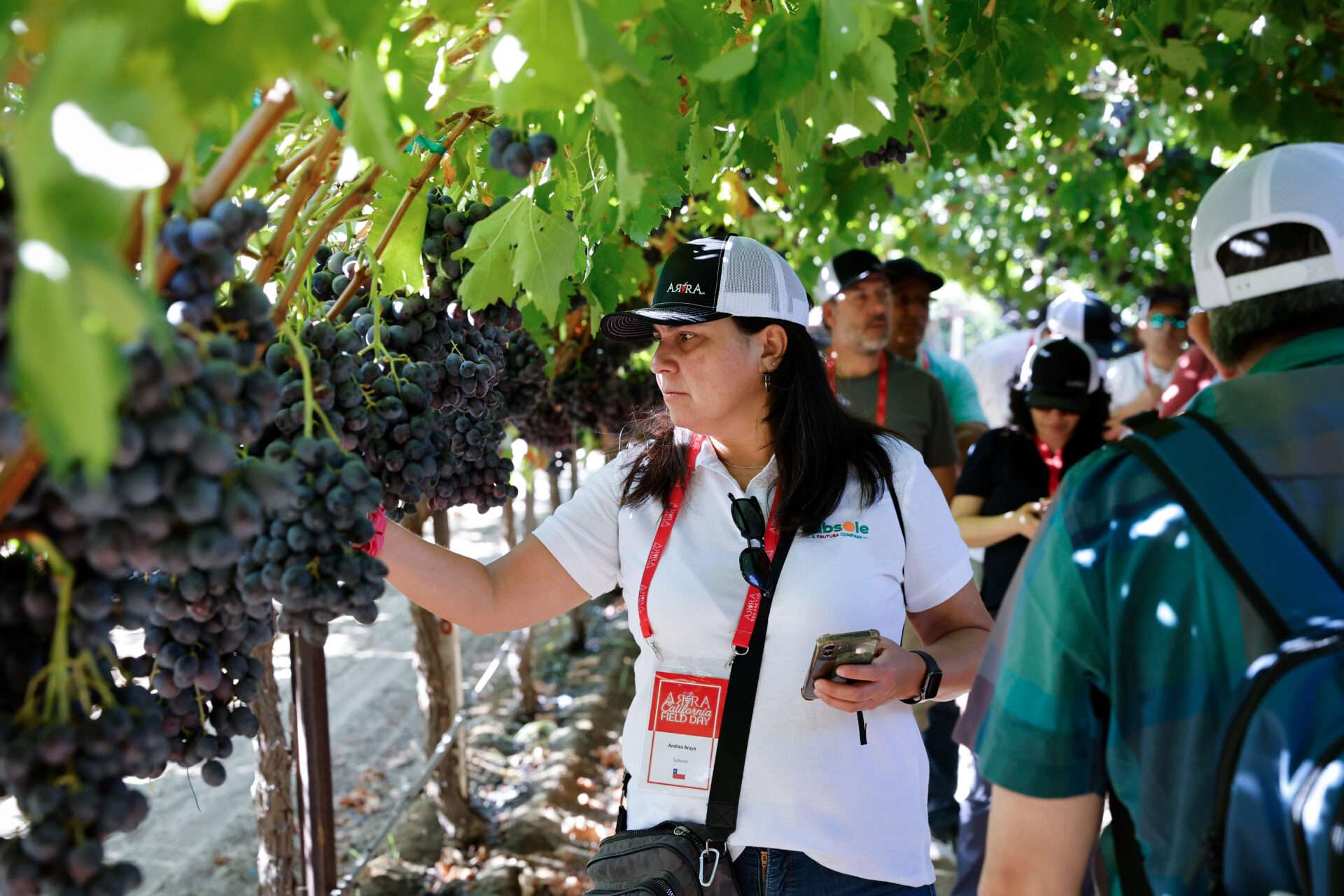 Field Days, August 2024
Bakersfield, California