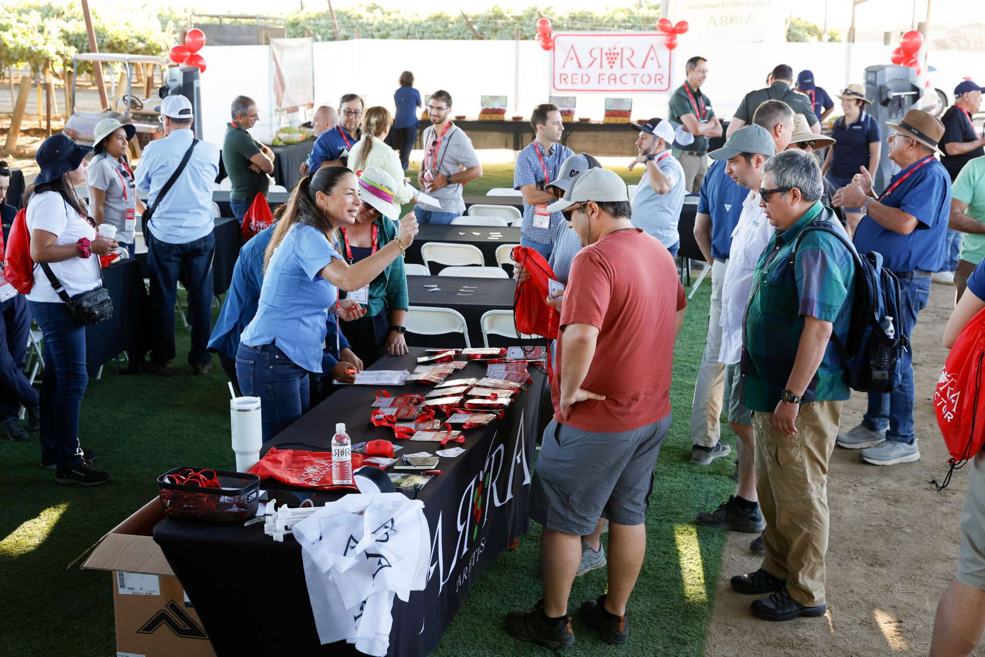 Field Days, August 2024
Bakersfield, California